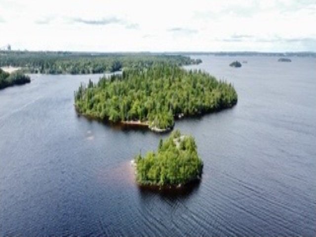 Overall View