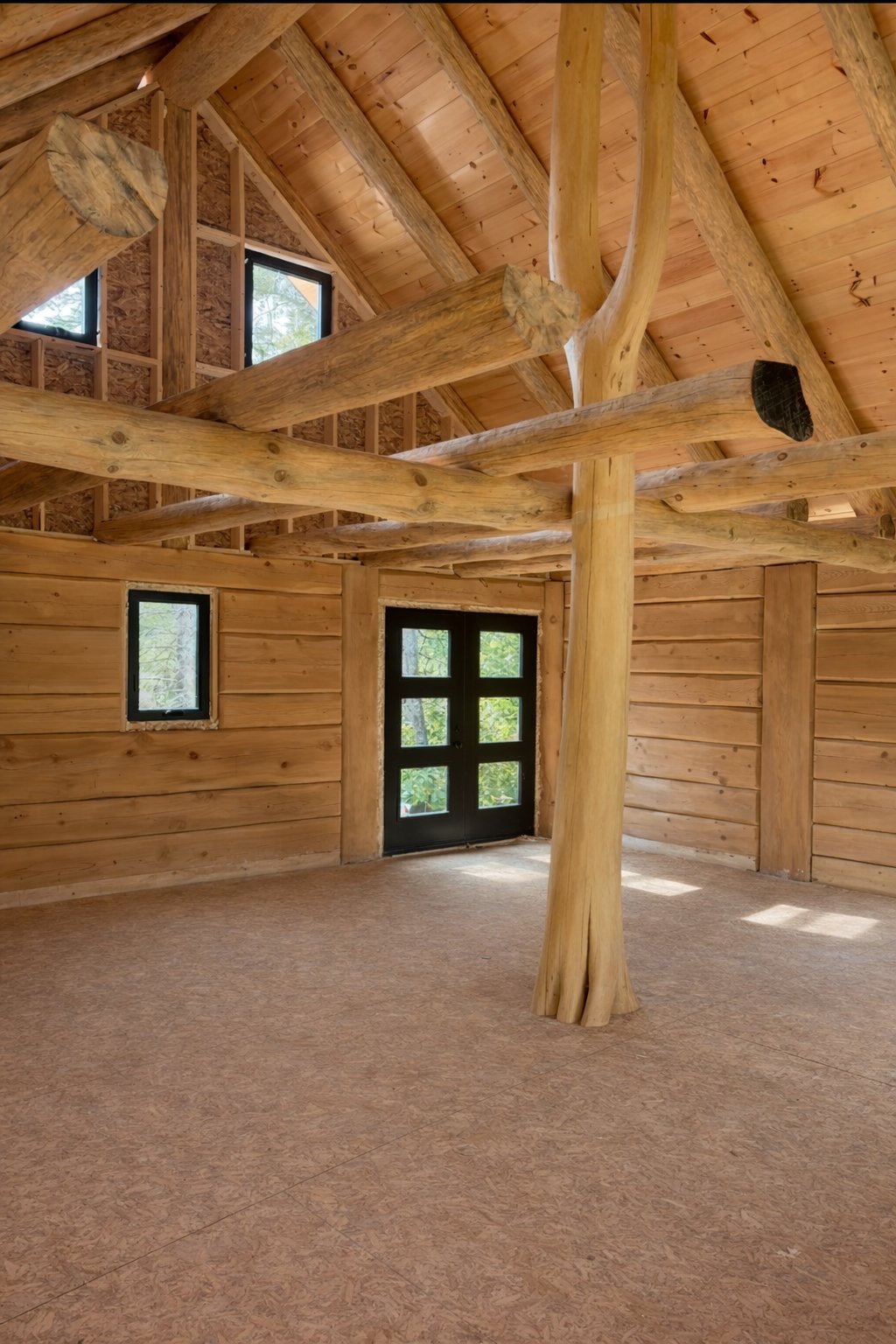 Overall View