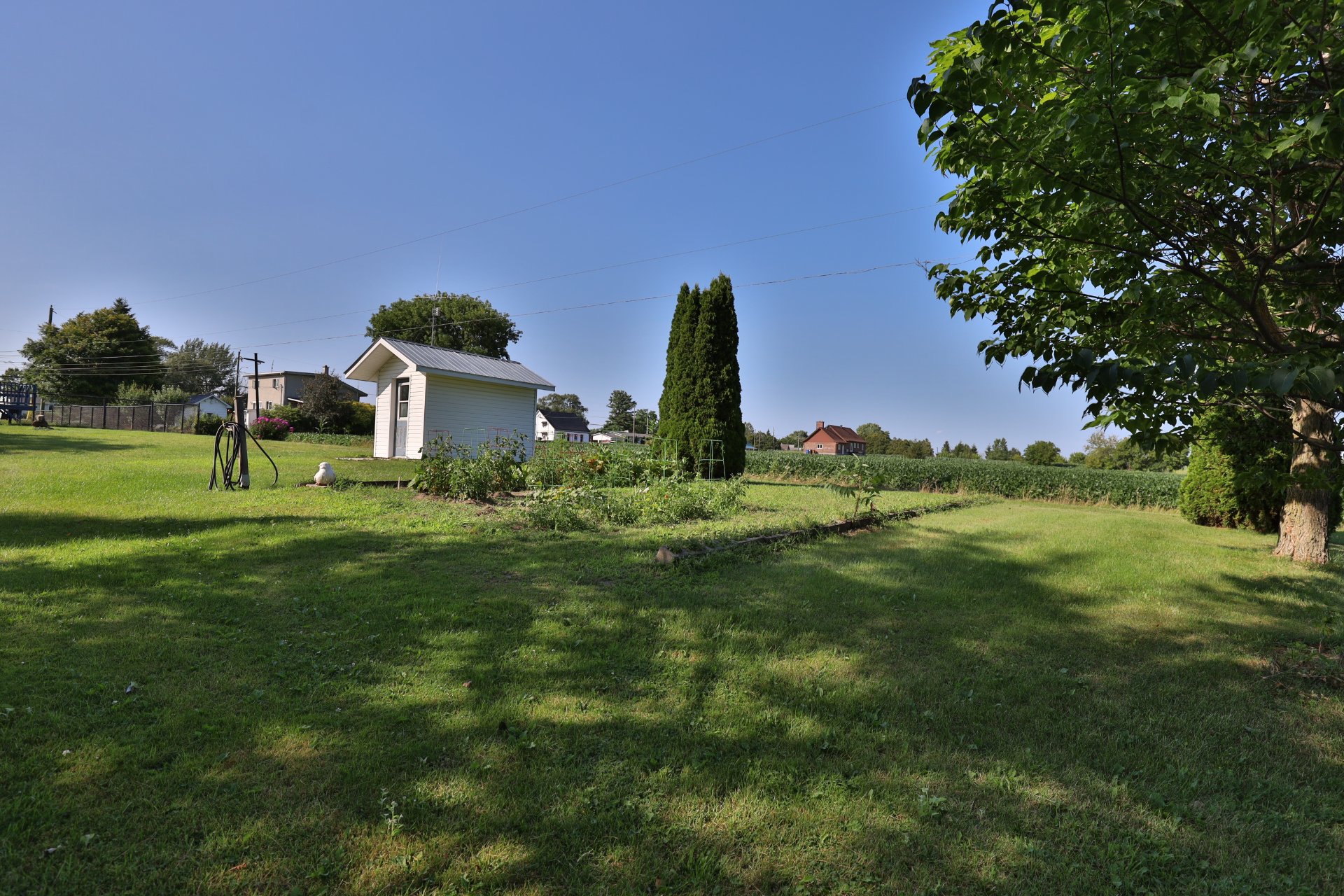 Jardin