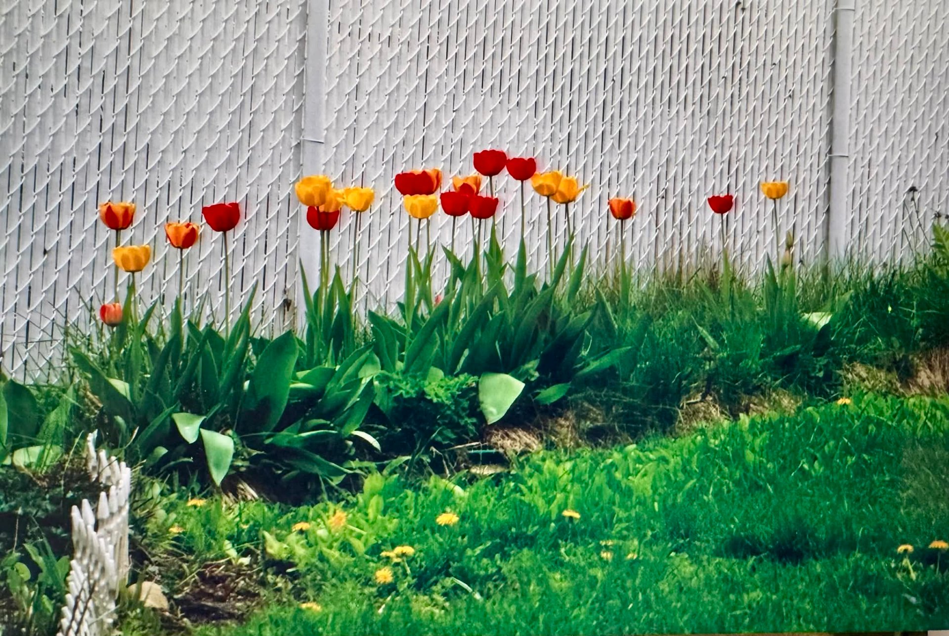 Photo d'été de la propriétaire