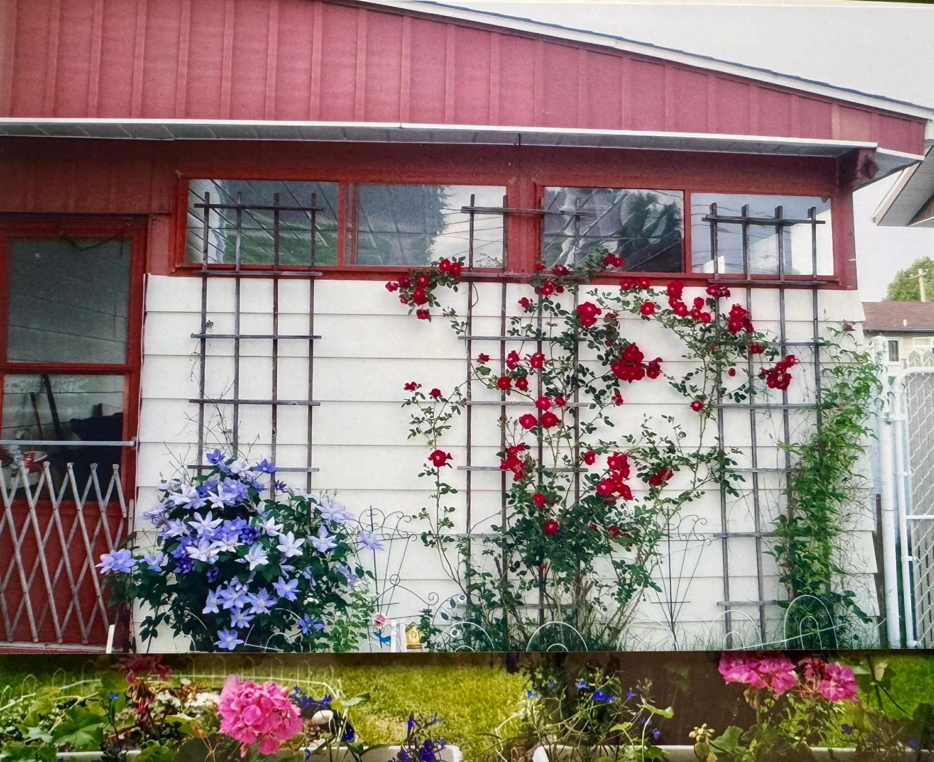 Photo d'été de la propriétaire