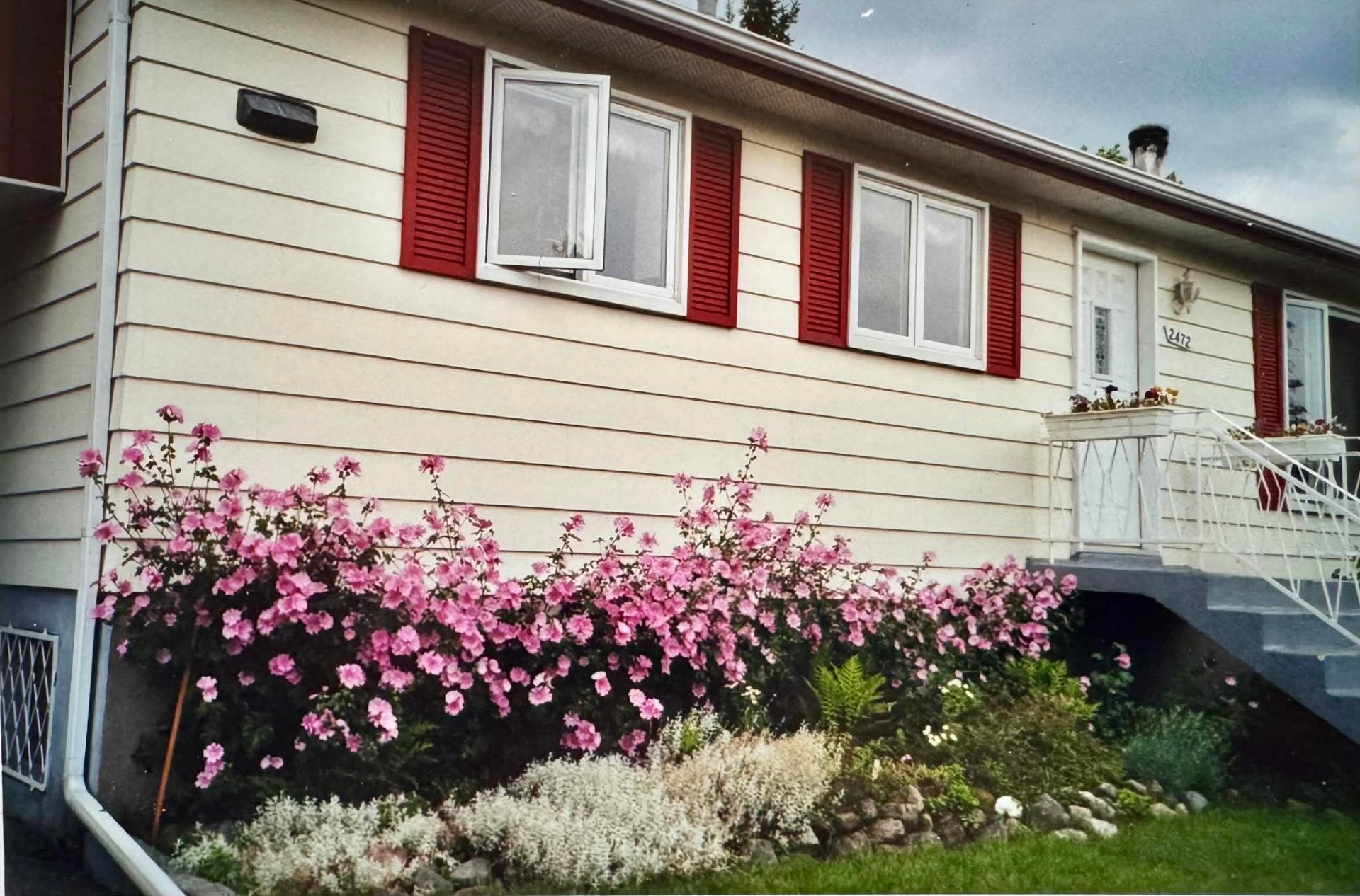 Photo d'été de la propriétaire