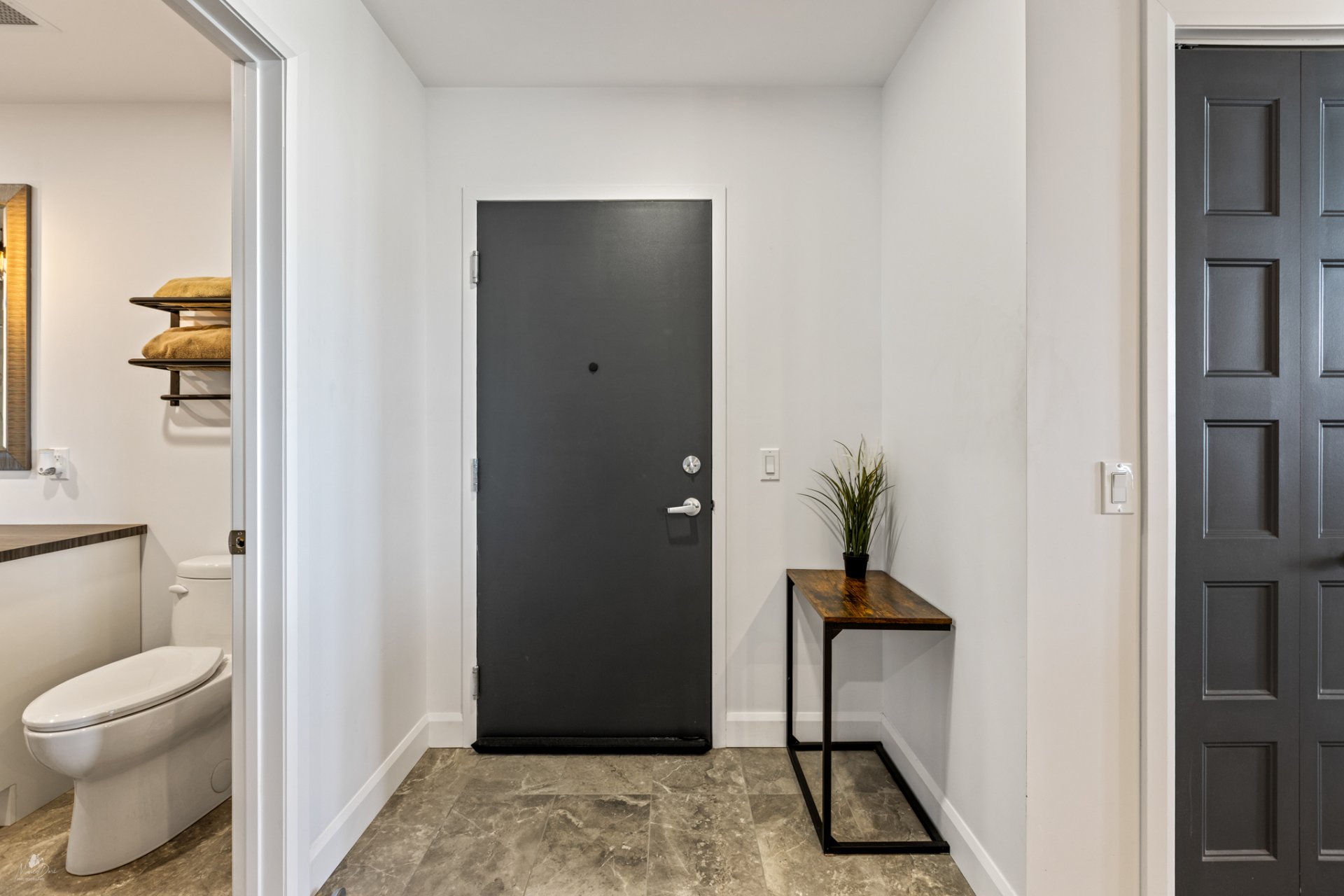 Hall d'entrée/Vestibule