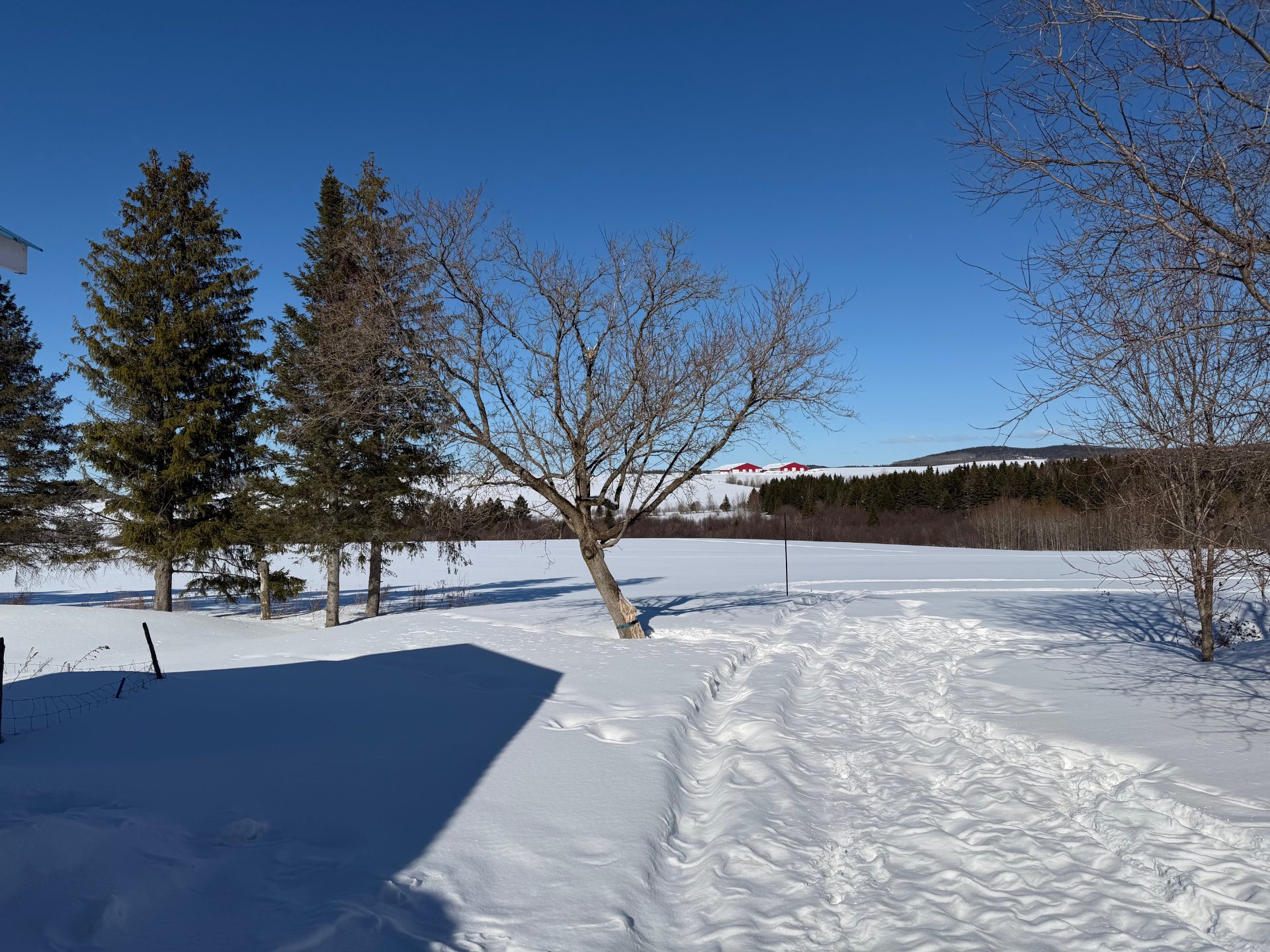 Land/Lot