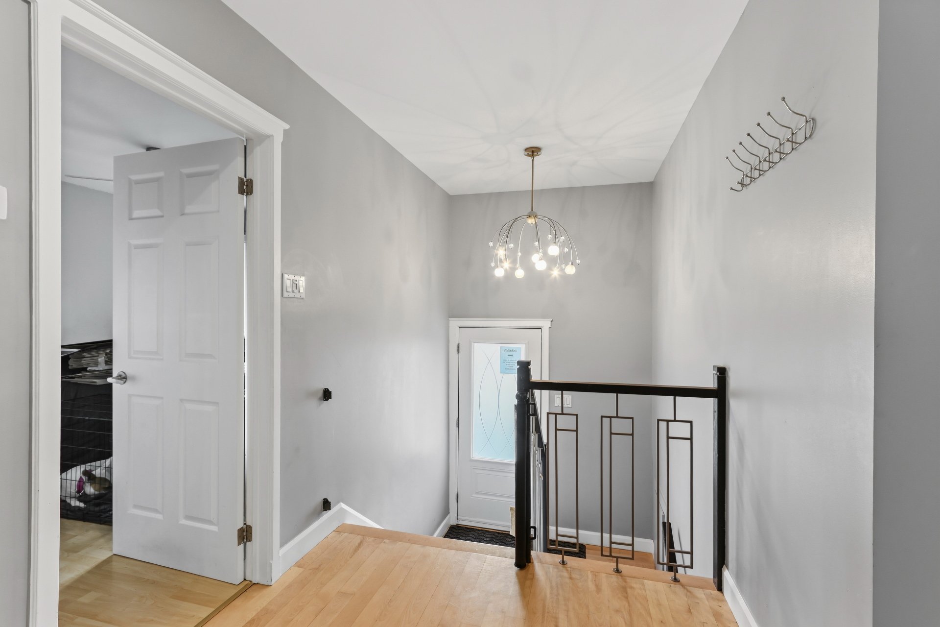 Hall d'entrée/Vestibule