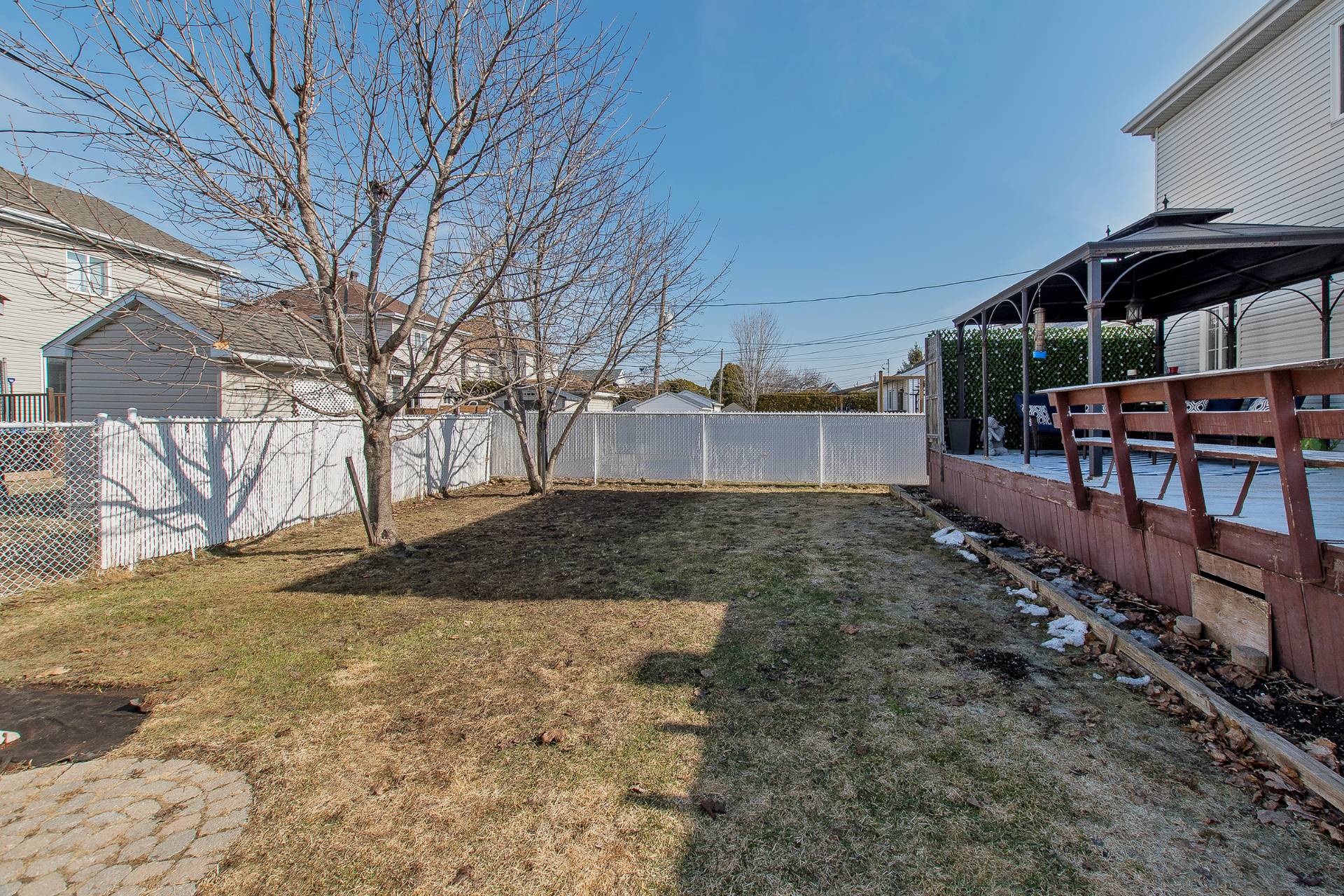 Backyard