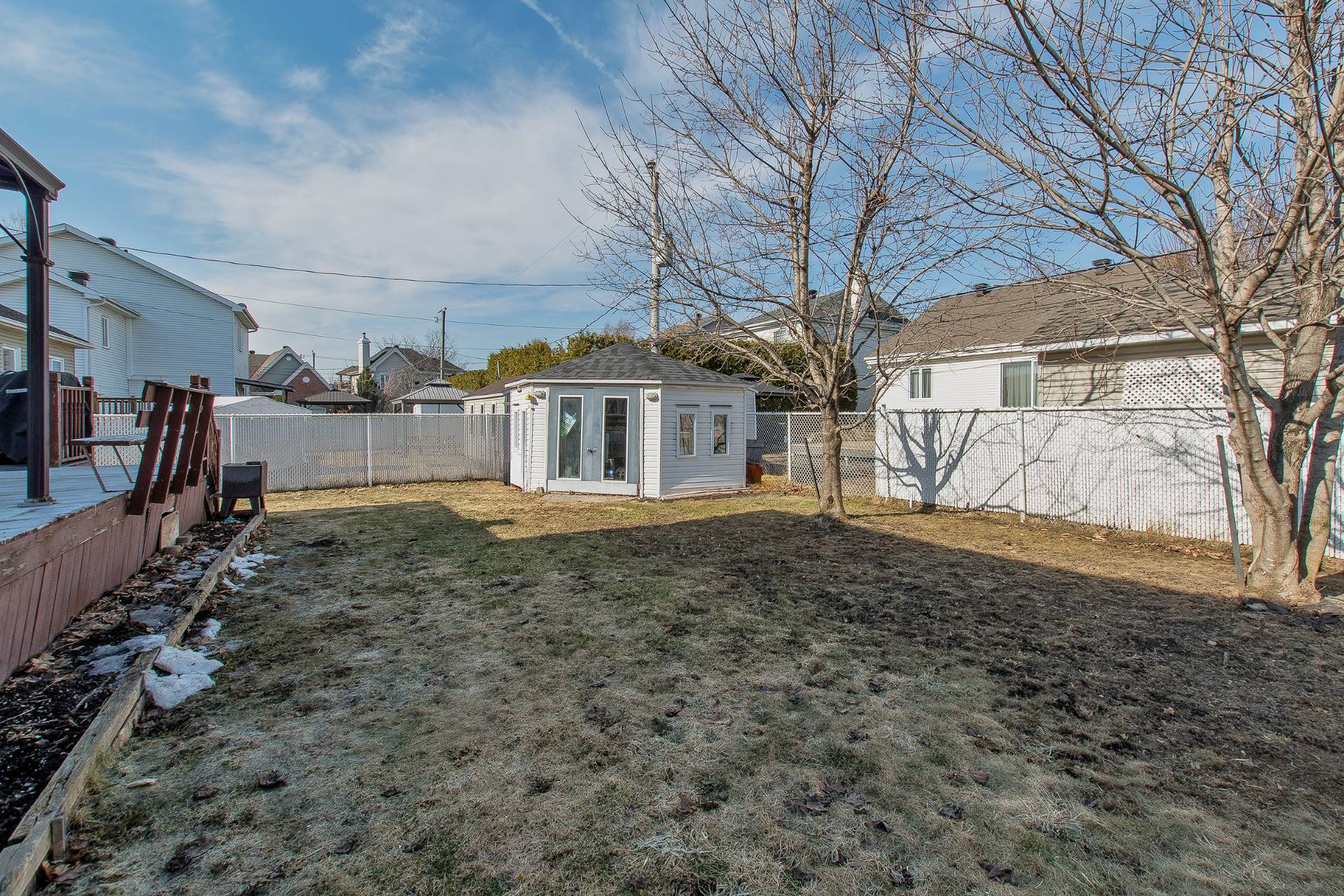Backyard