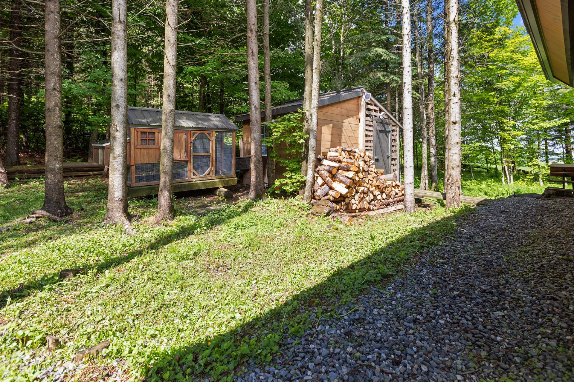 Poulailler et remise à bois