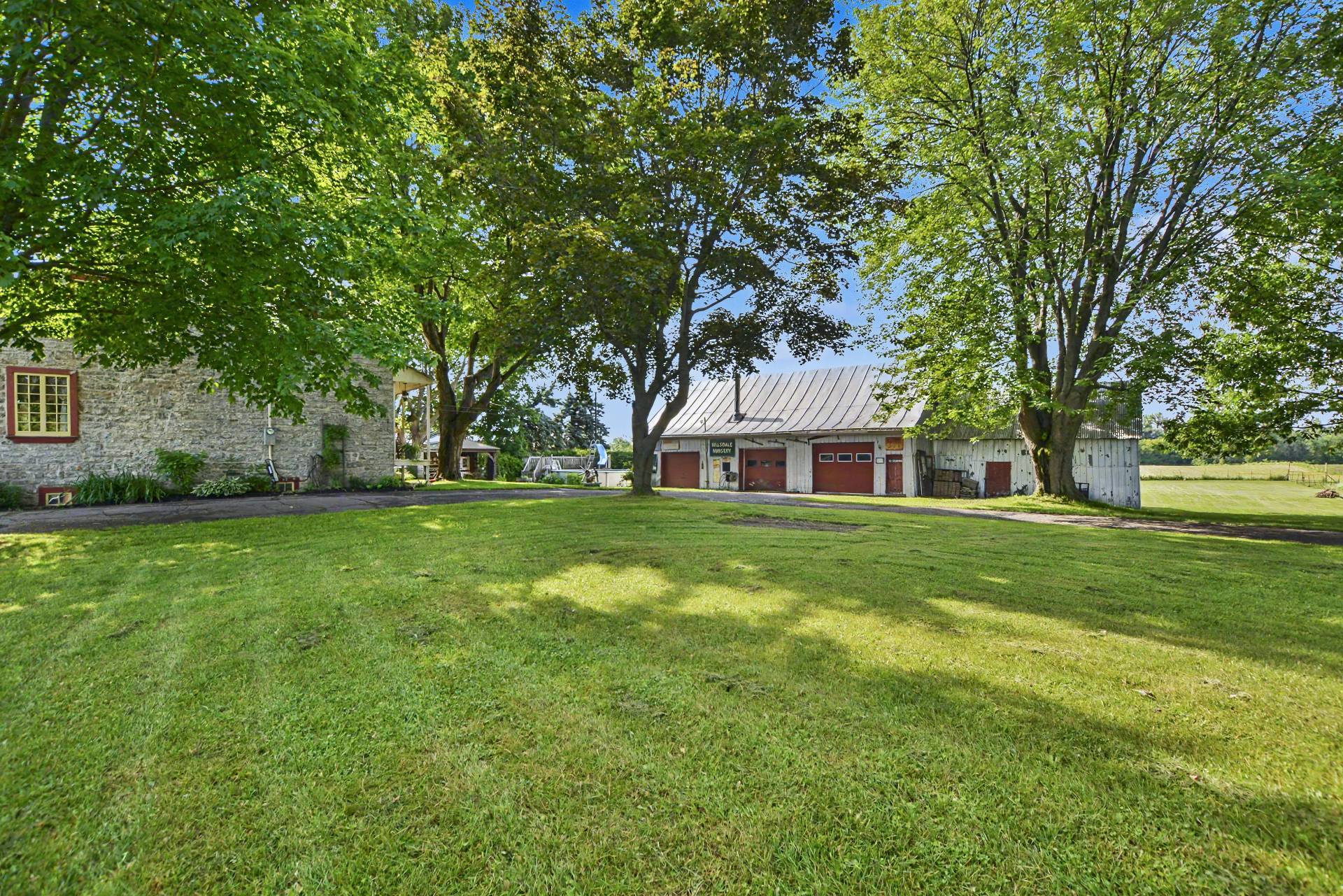 Backyard