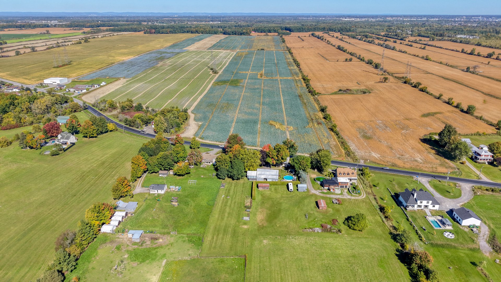 Aerial photo