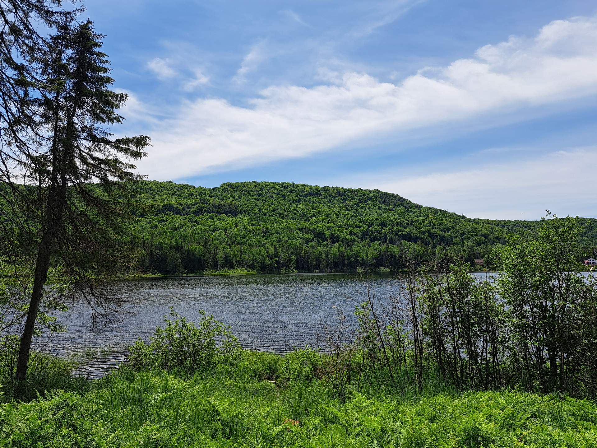 View
