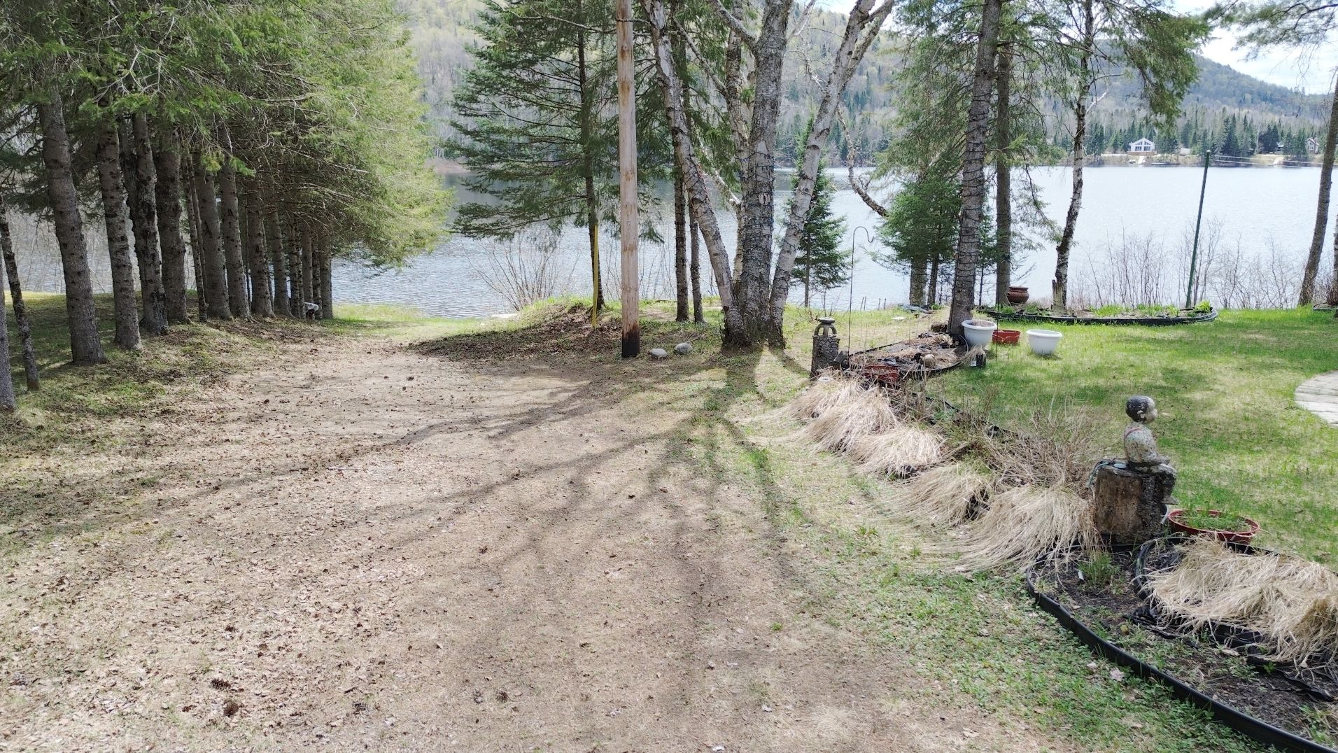 Overall View