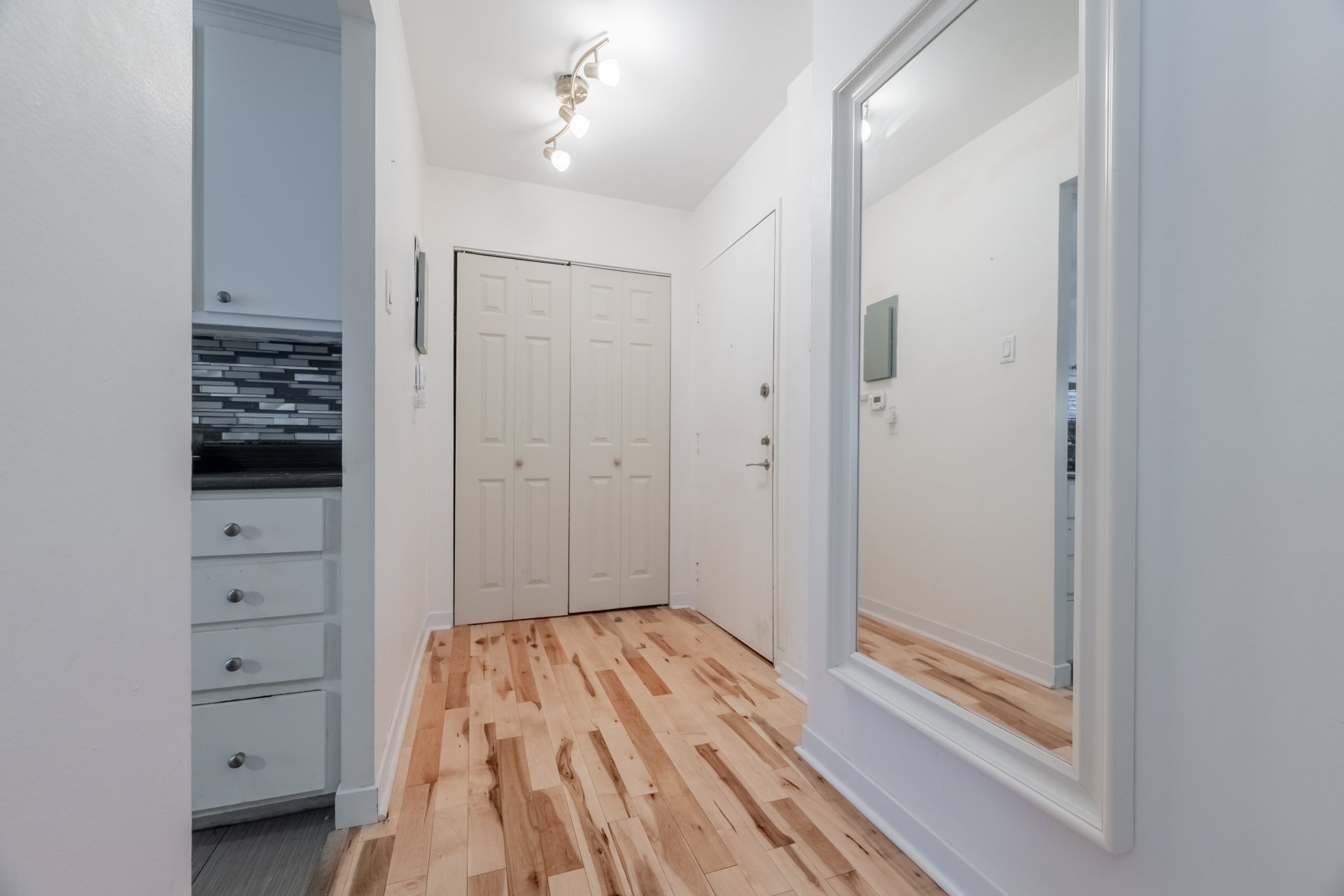 Hall d'entrée/Vestibule