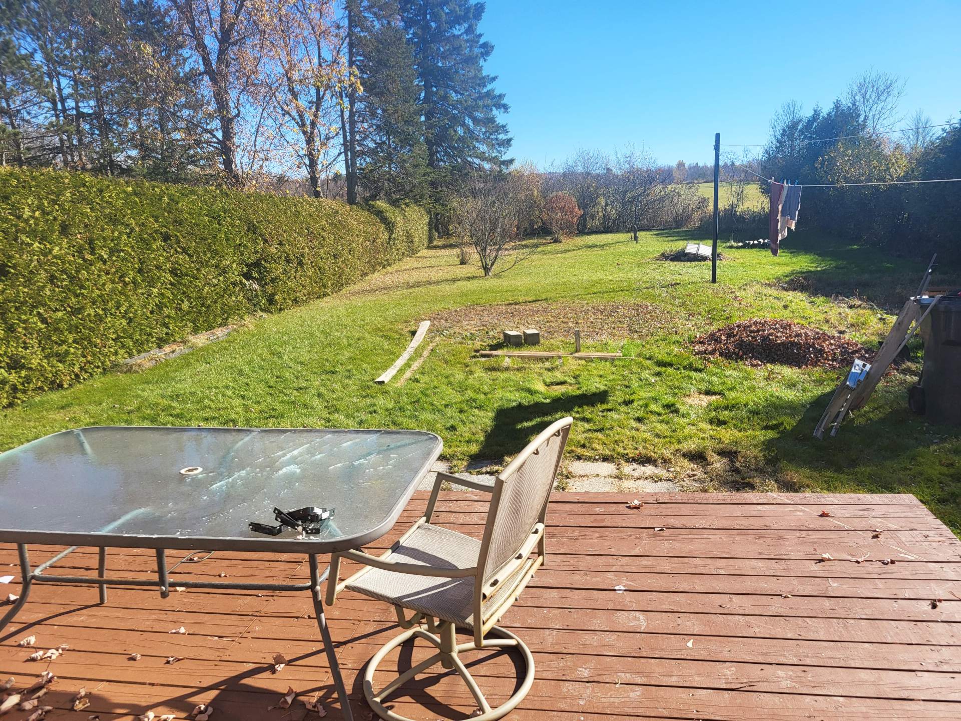 Backyard