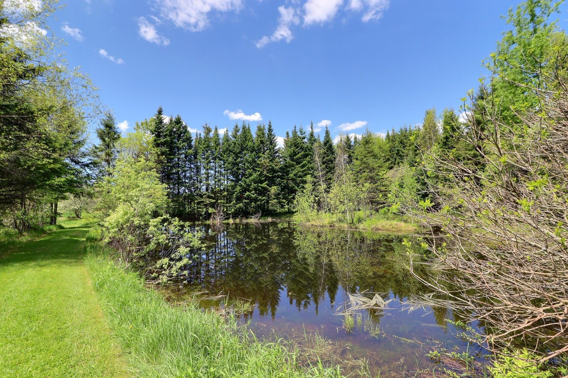 Vue sur l'eau