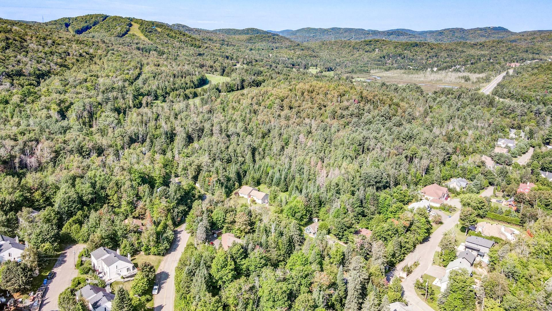Aerial photo