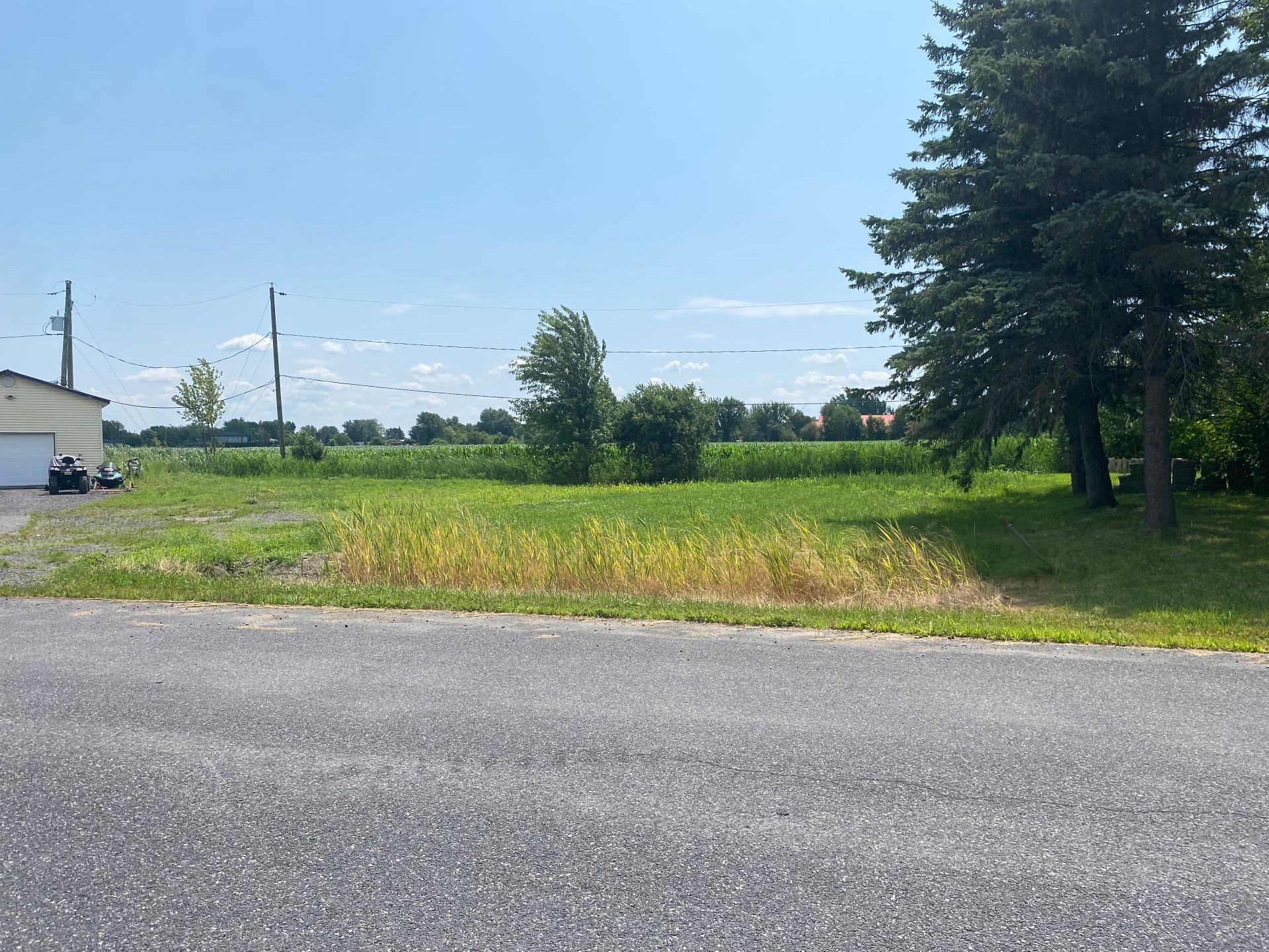 Land/Lot