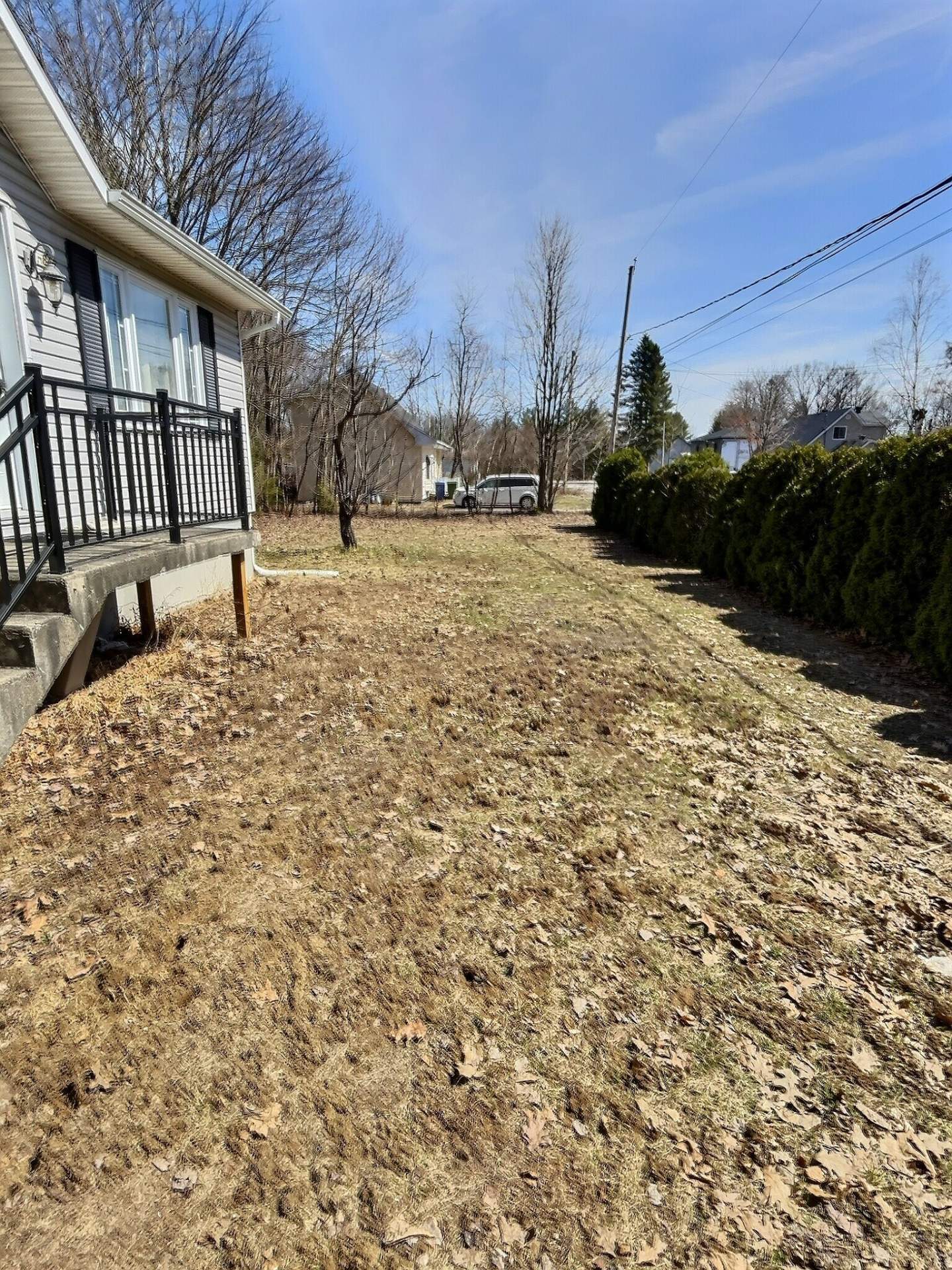 Façade terrain avec haies