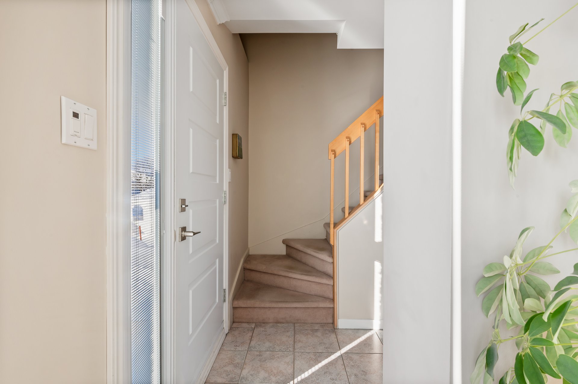 Hall d'entrée/Vestibule