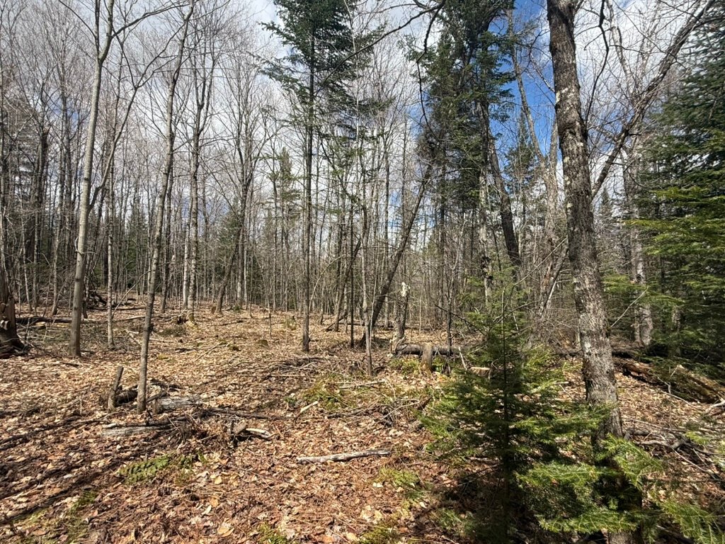Land/Lot