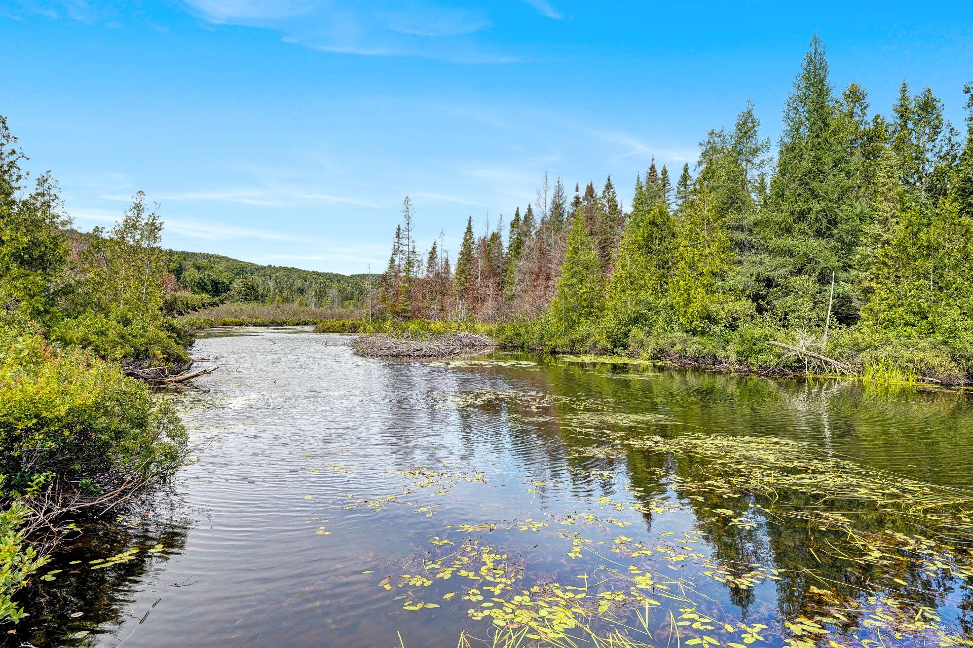 Accès au plan d'eau
