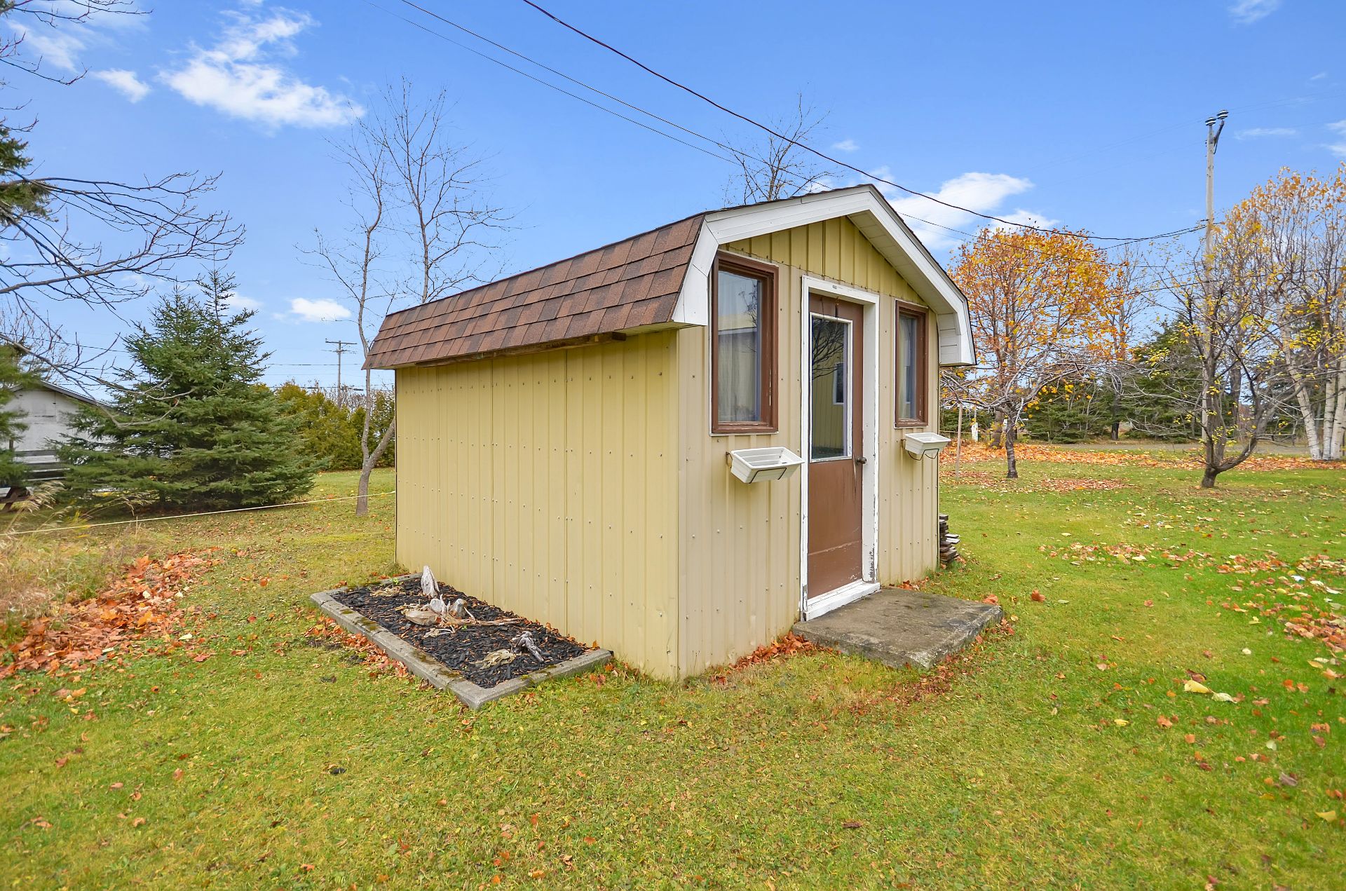 Shed