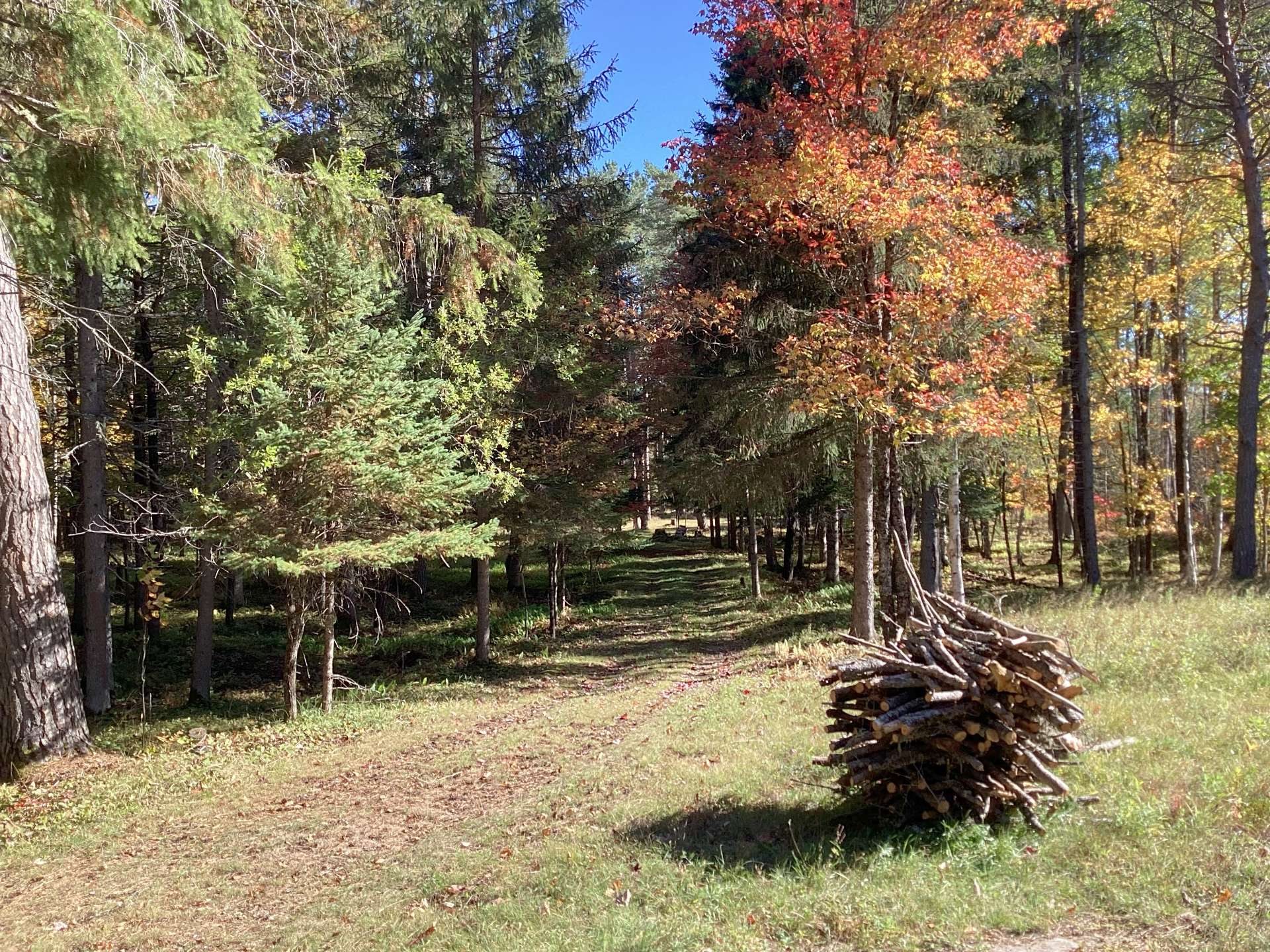 Entry from Chemin des Chute
