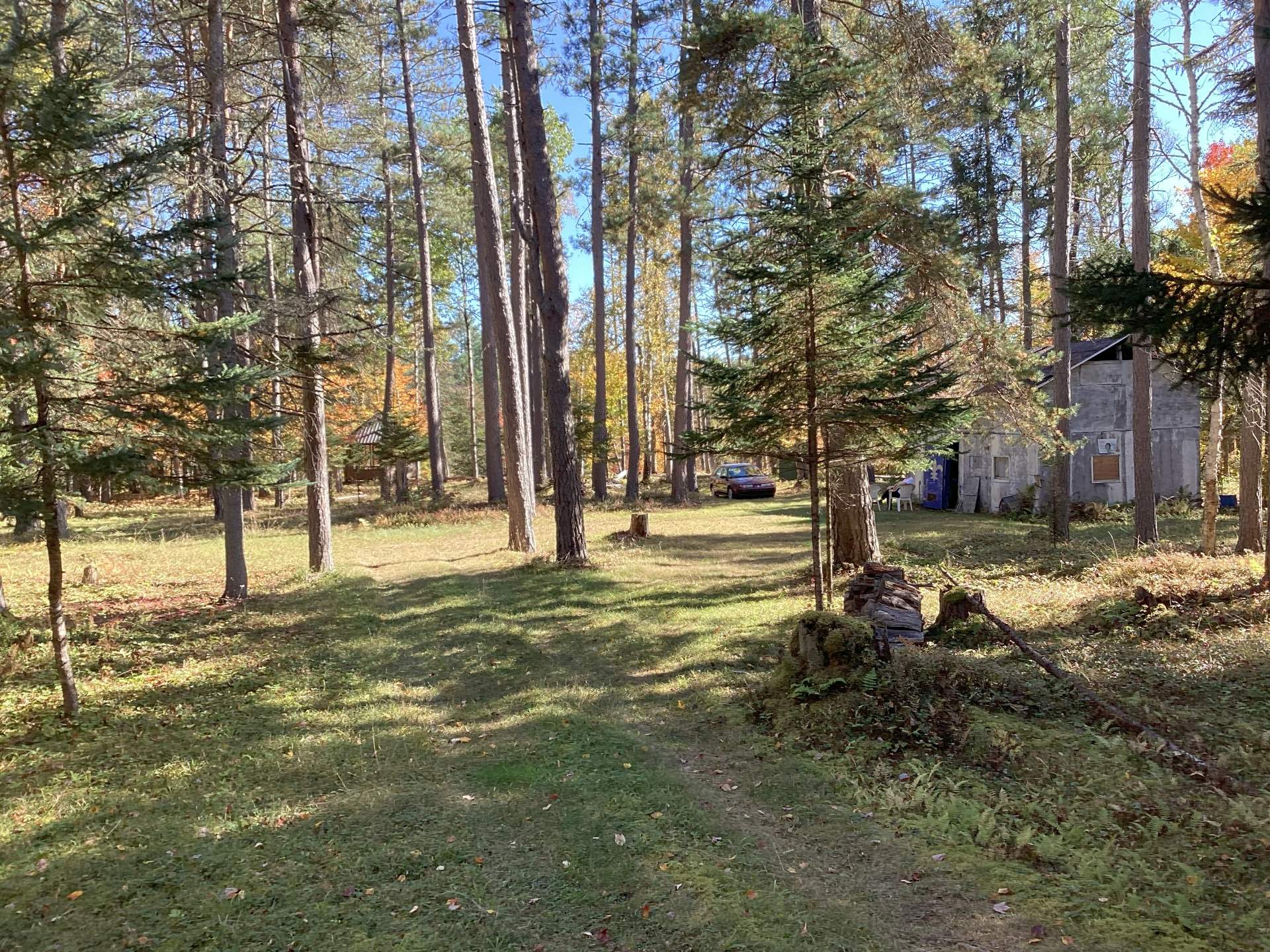 Shed, outhouse, gazebo