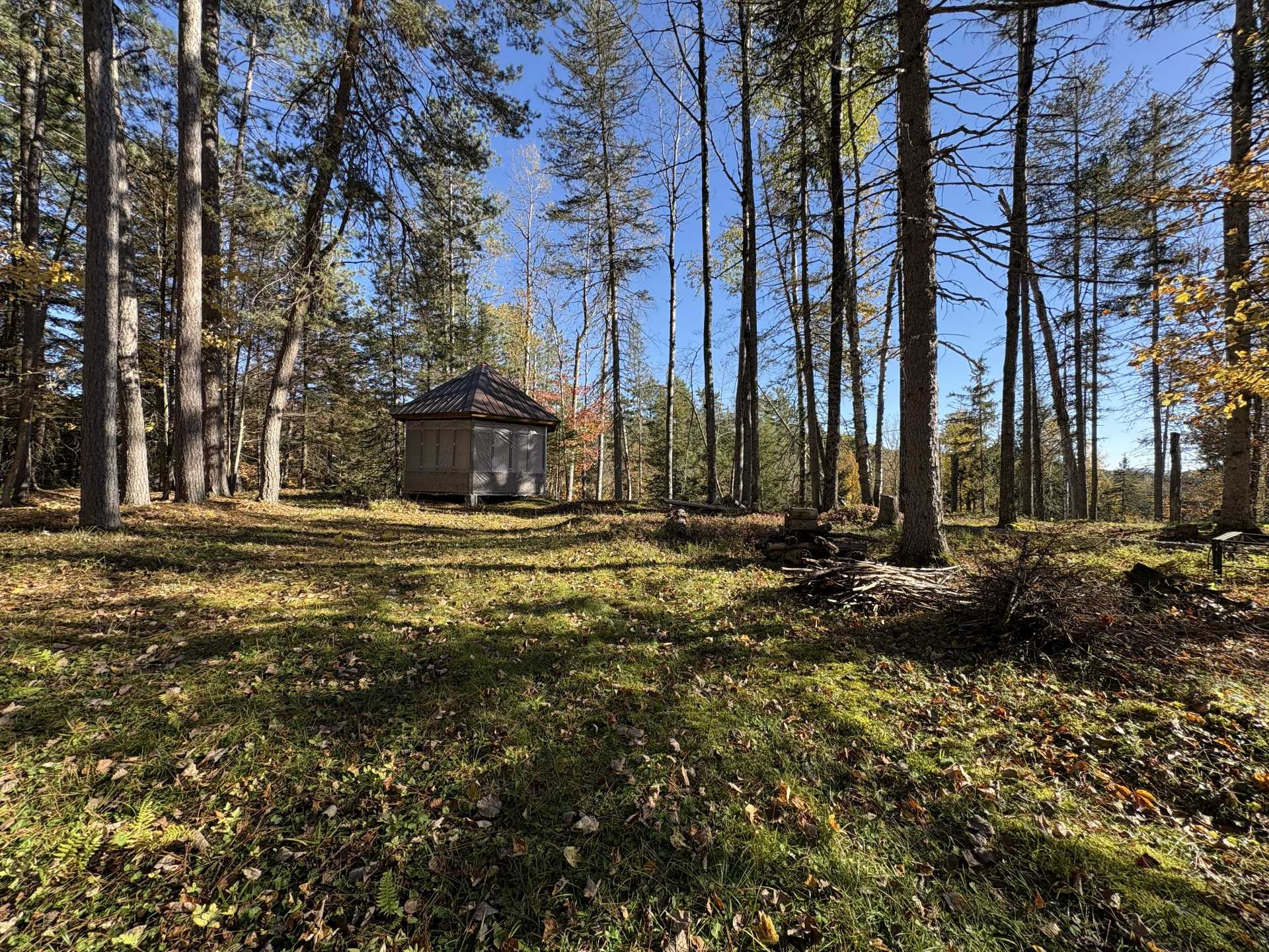Terrain et gazebo