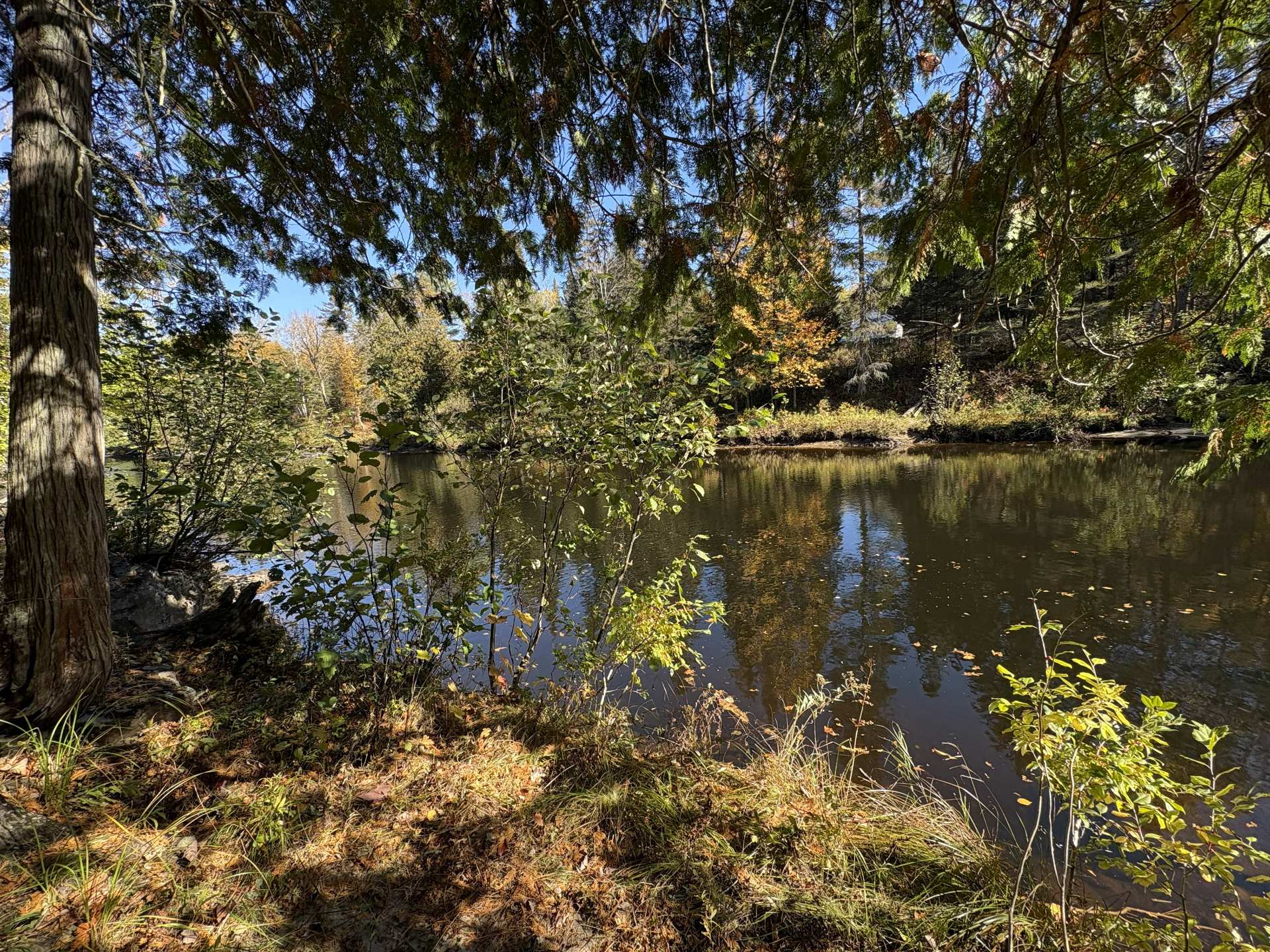 Bord de l'eau