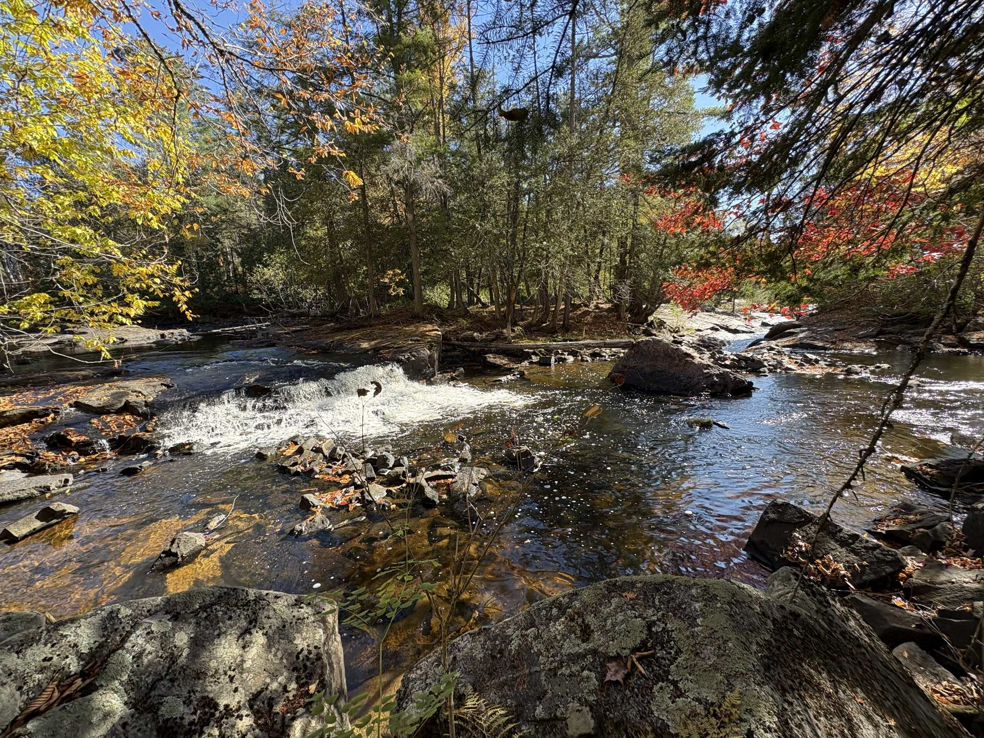 Chutes