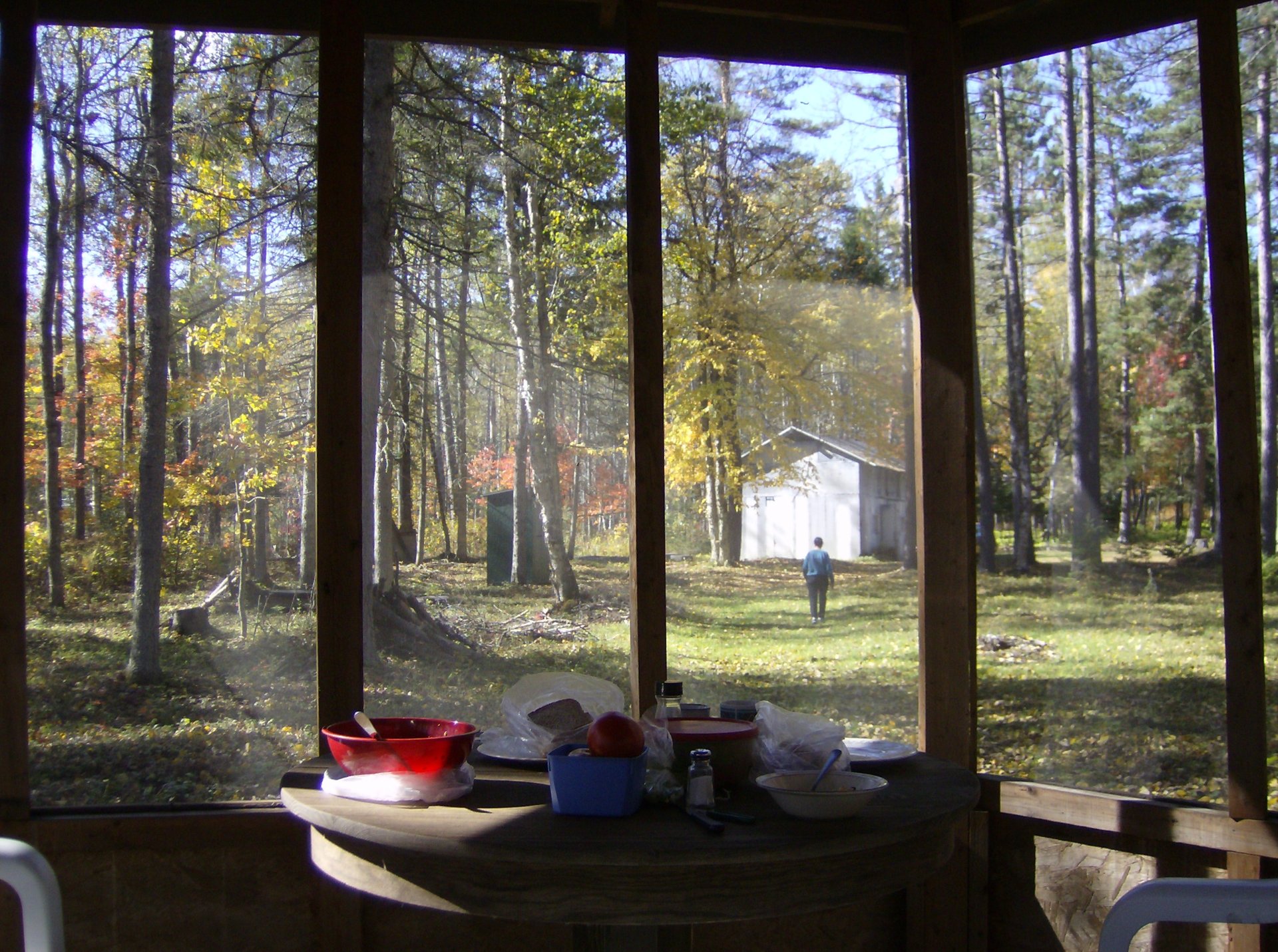 View from gazebo, outhouse, shed