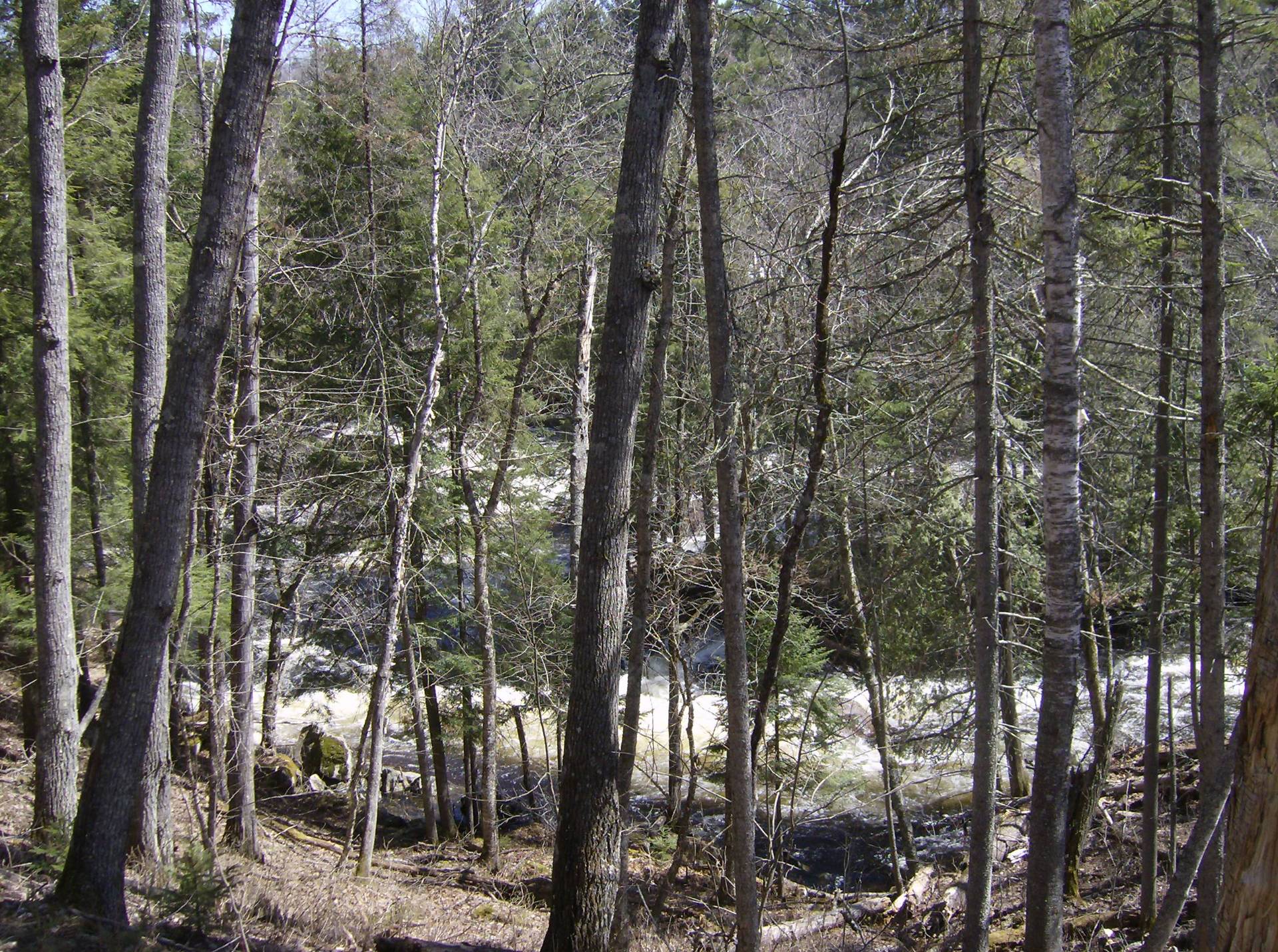 rapids high water (Spring)