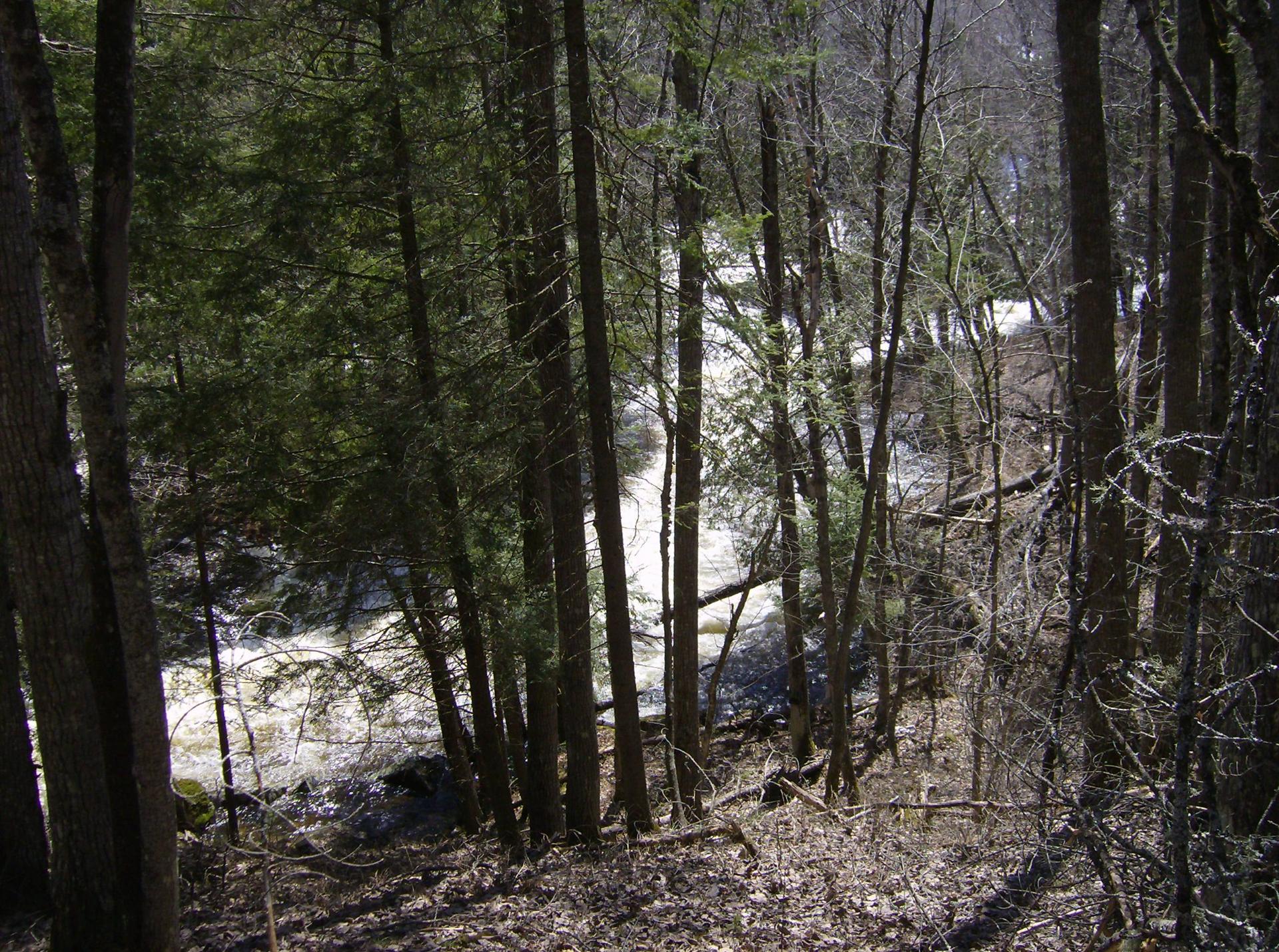 rapids high water (Spring)