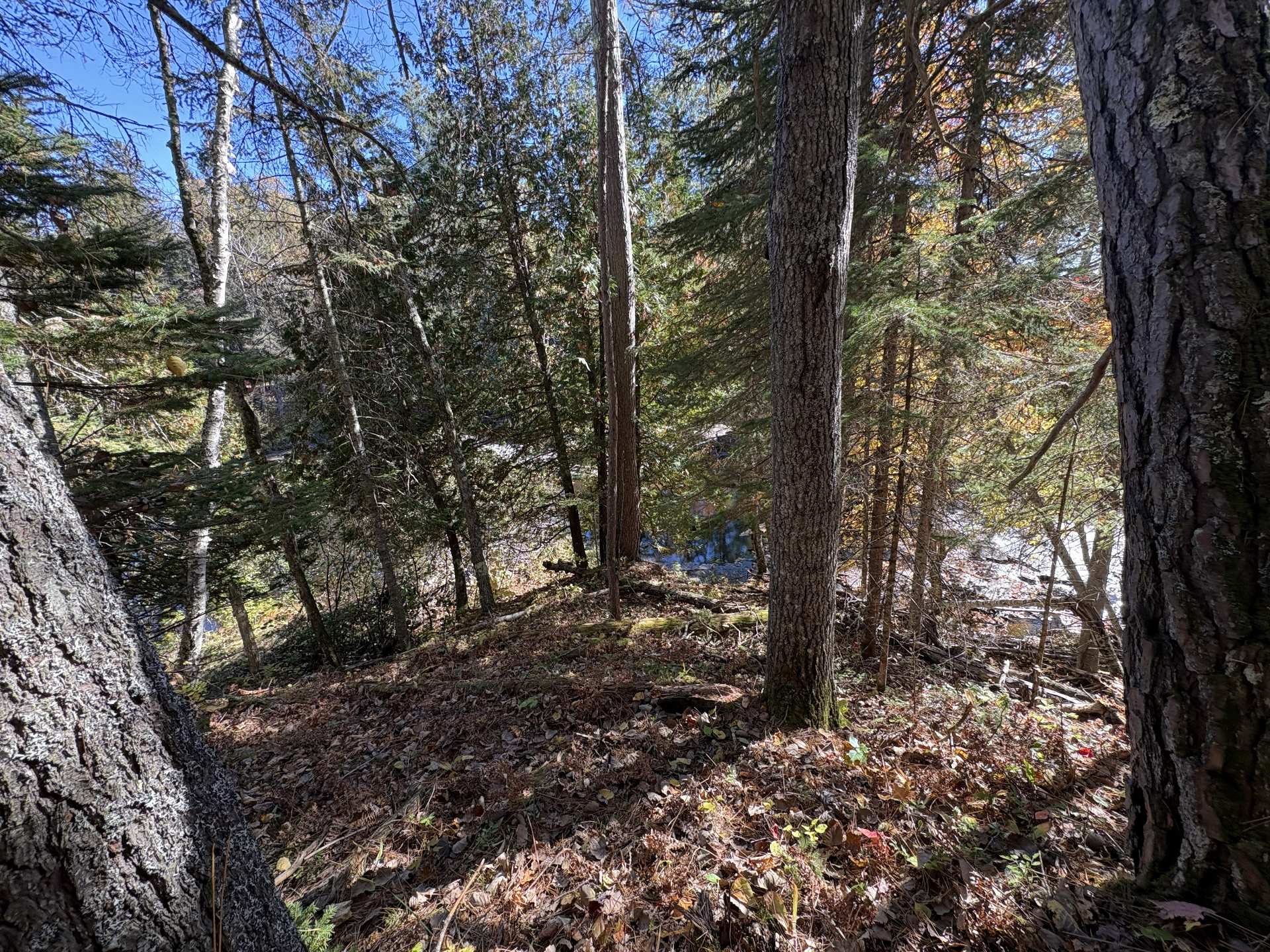 Plateau avant le bord de la rivière