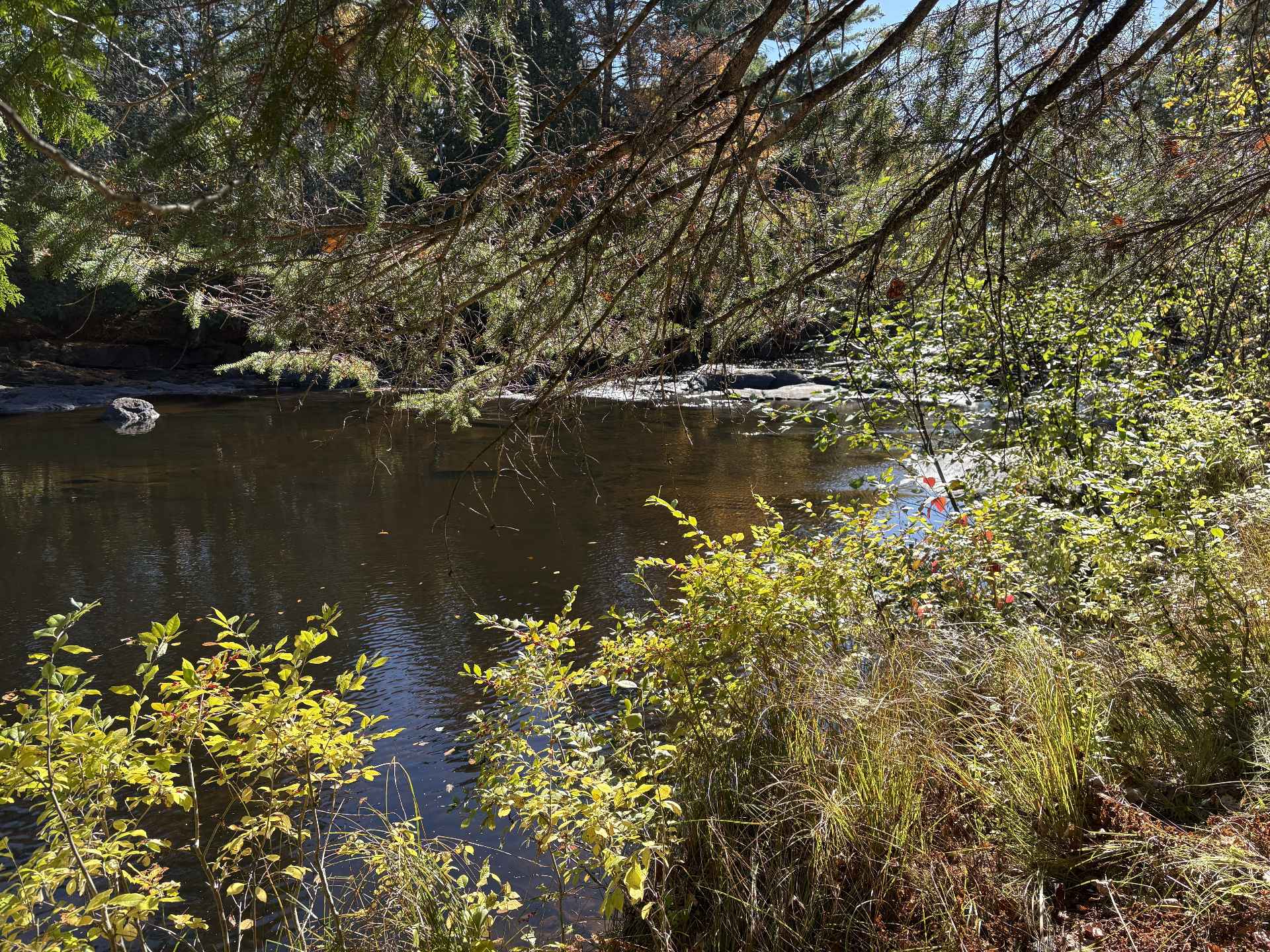 Rivière
