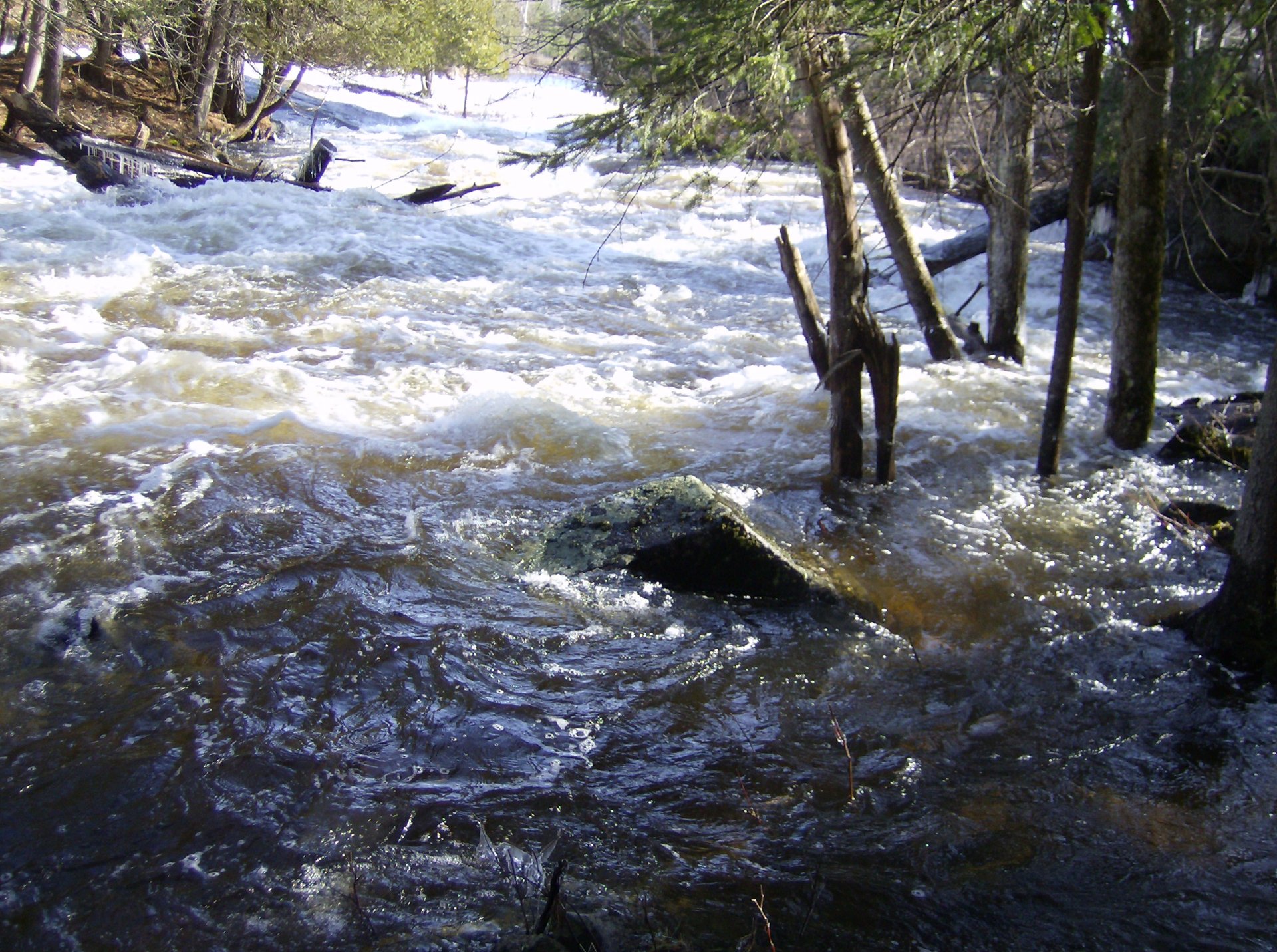 rapids high water (Spring)