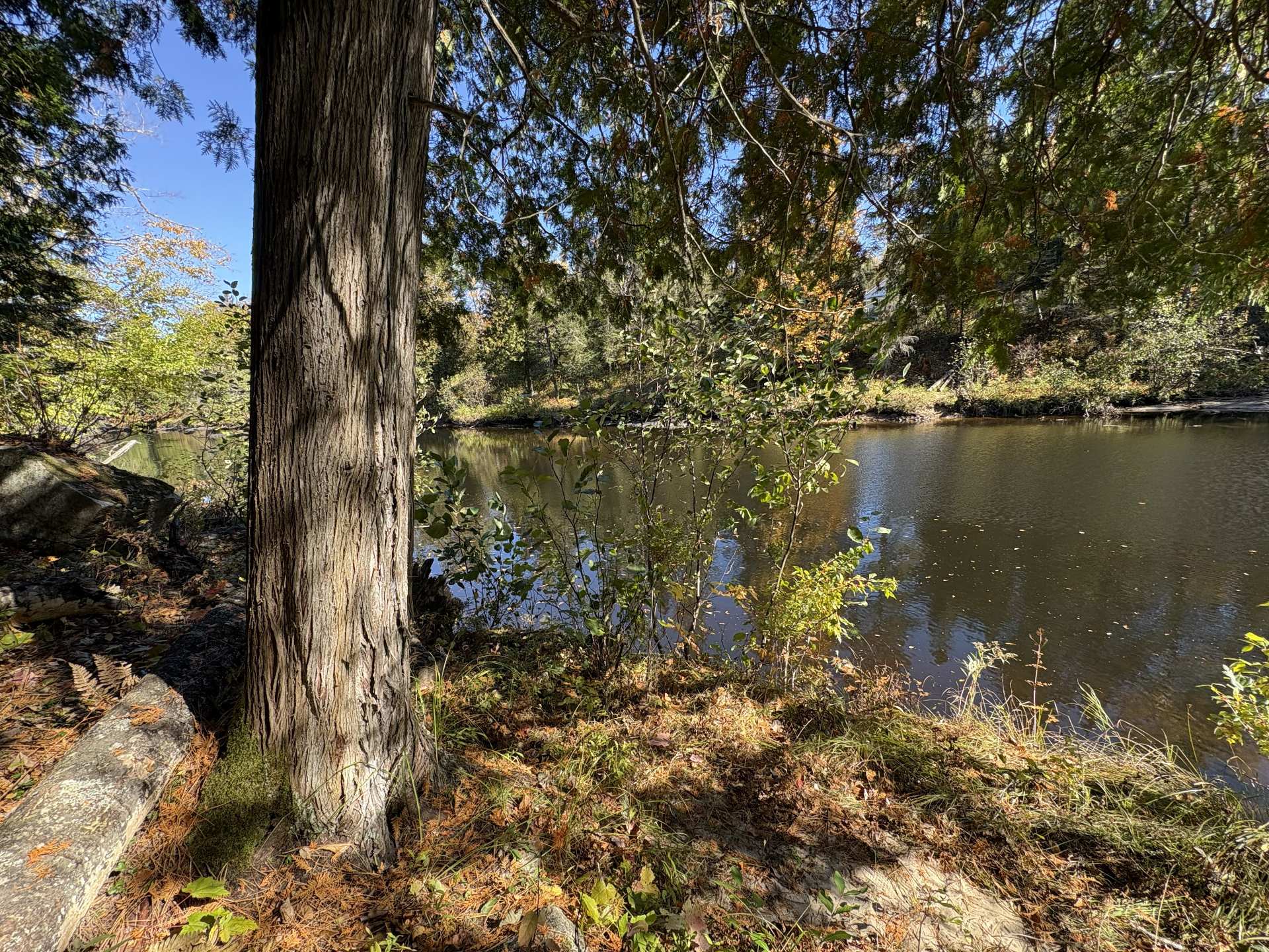 Rivière