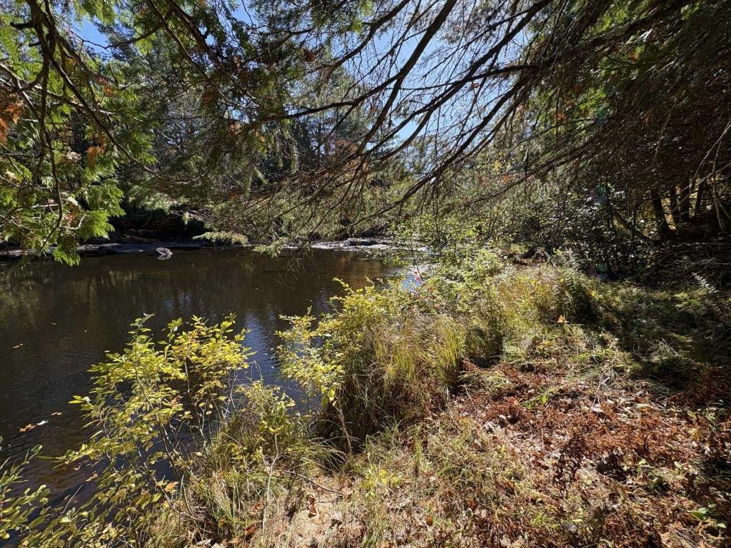 River swimming part