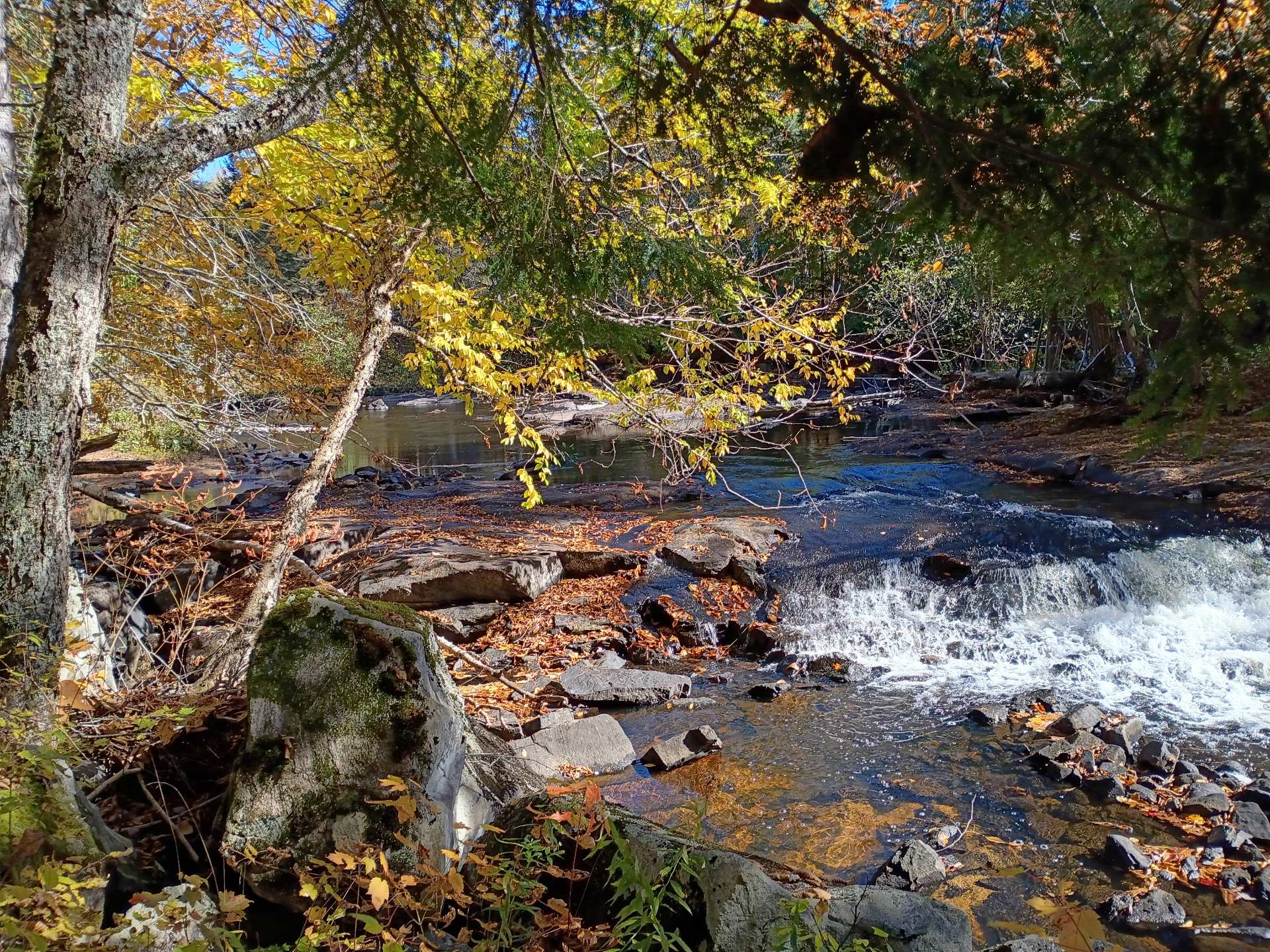 Rapids low water (Summer)