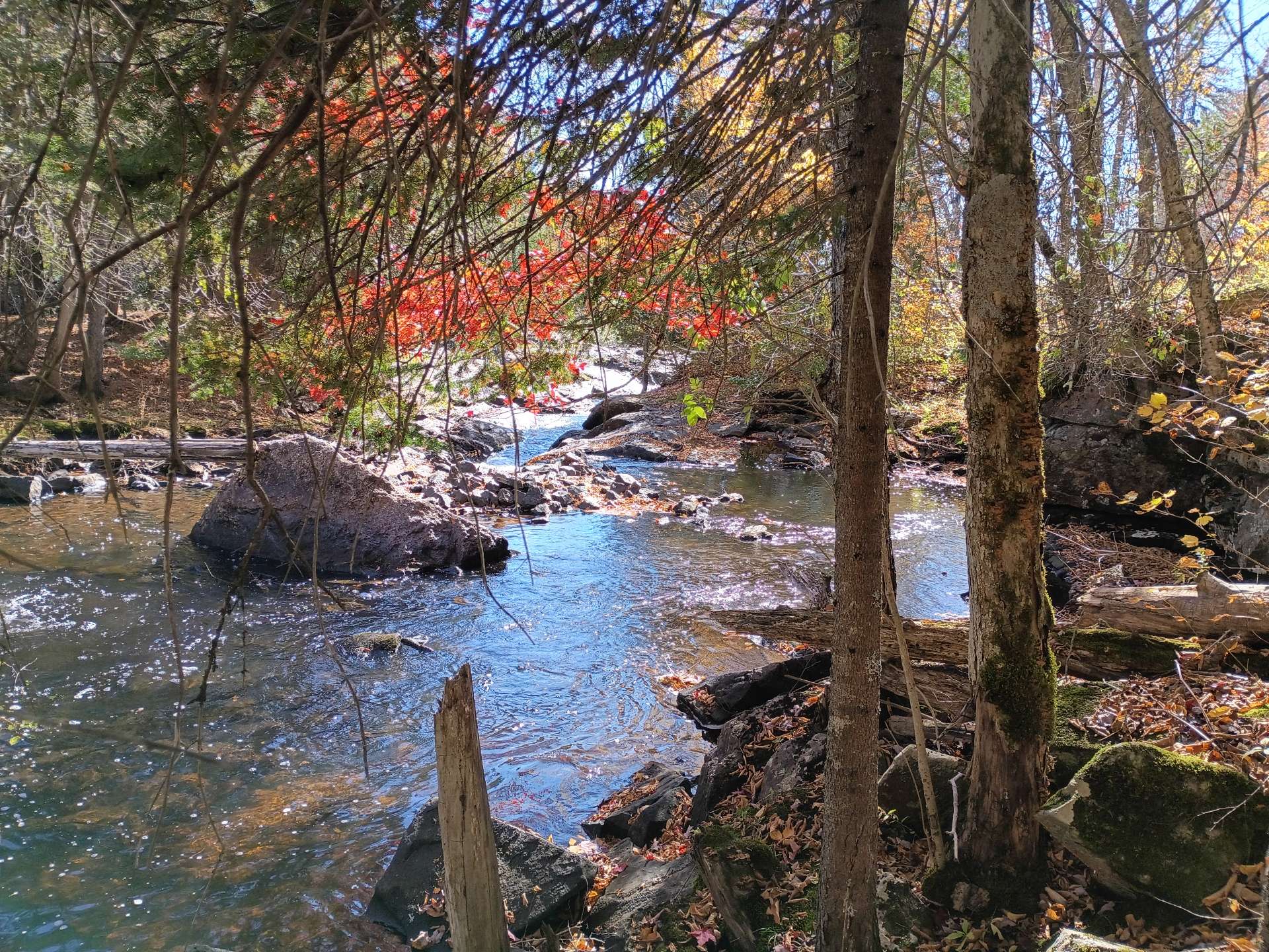 Rapids low water (Summer)