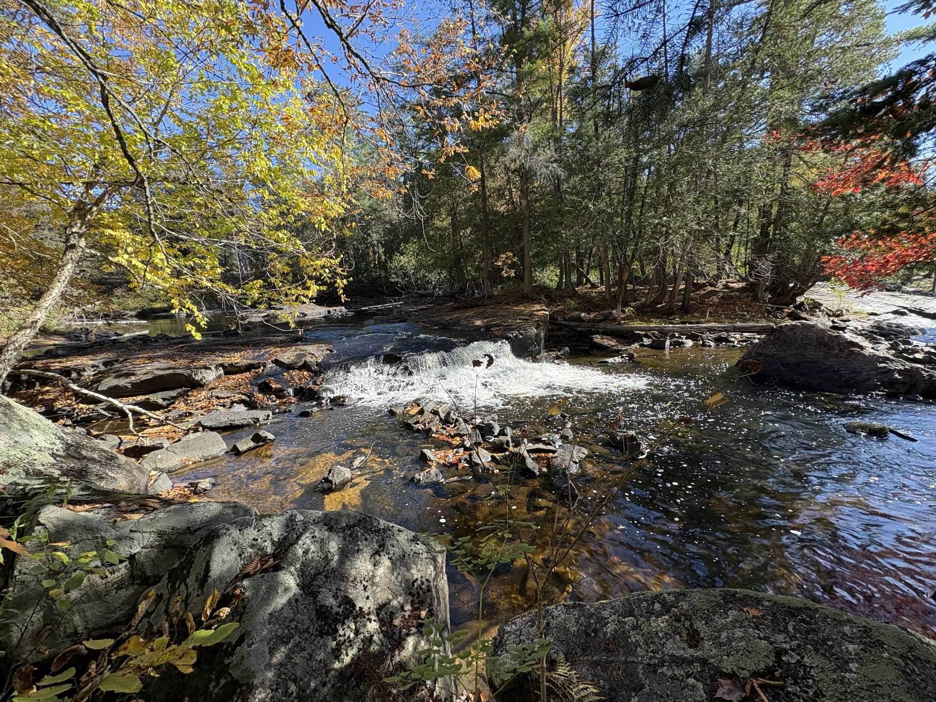 Chutes
