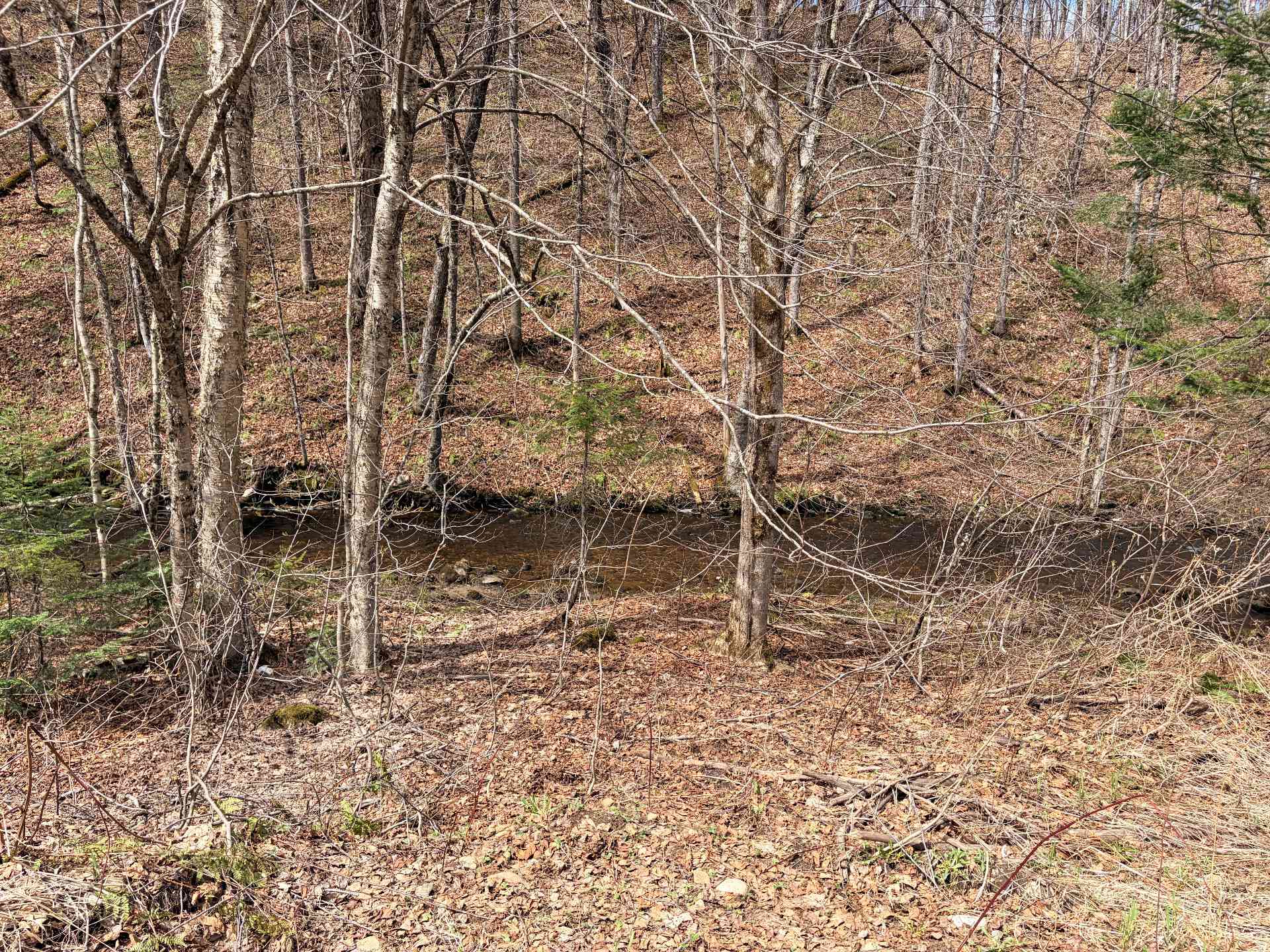 Terre/Terrain