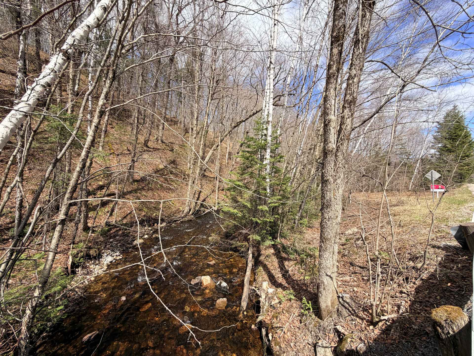 Terre/Terrain