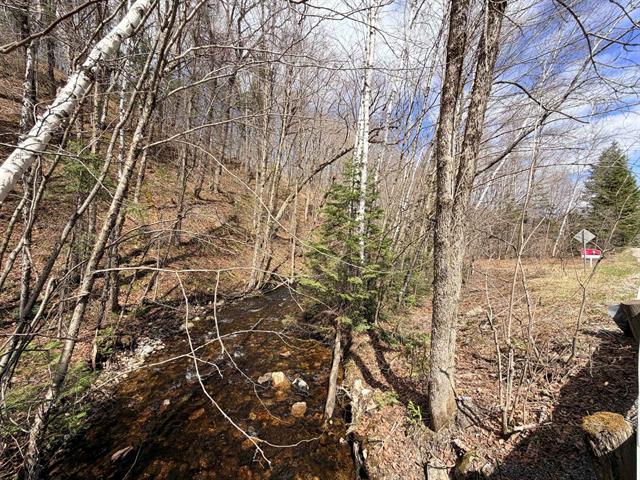 Terre/Terrain