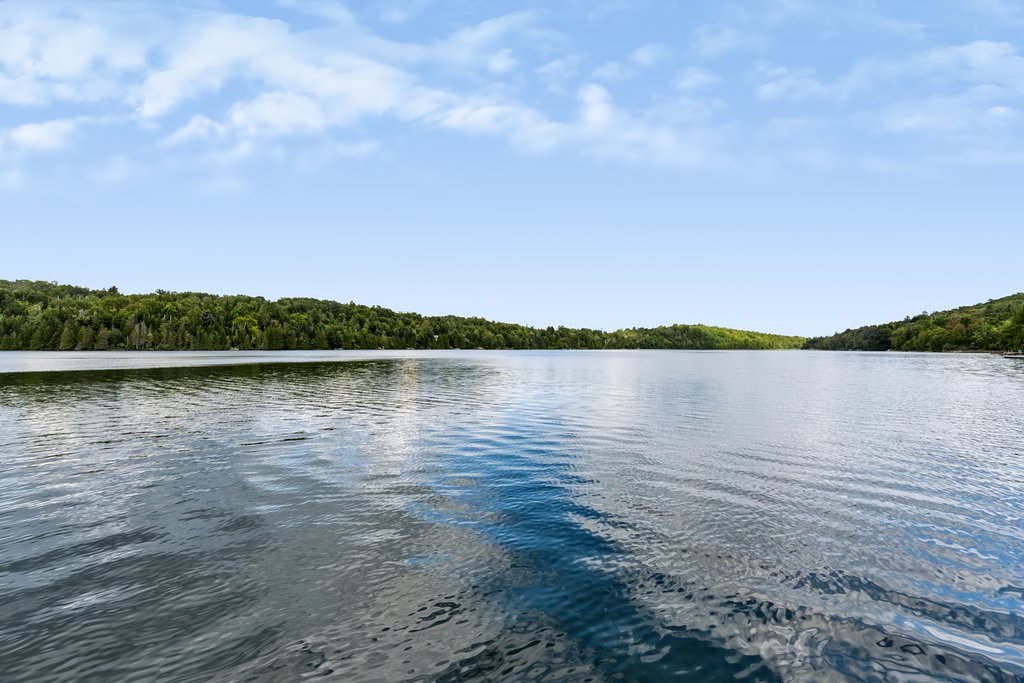 Bord de l'eau