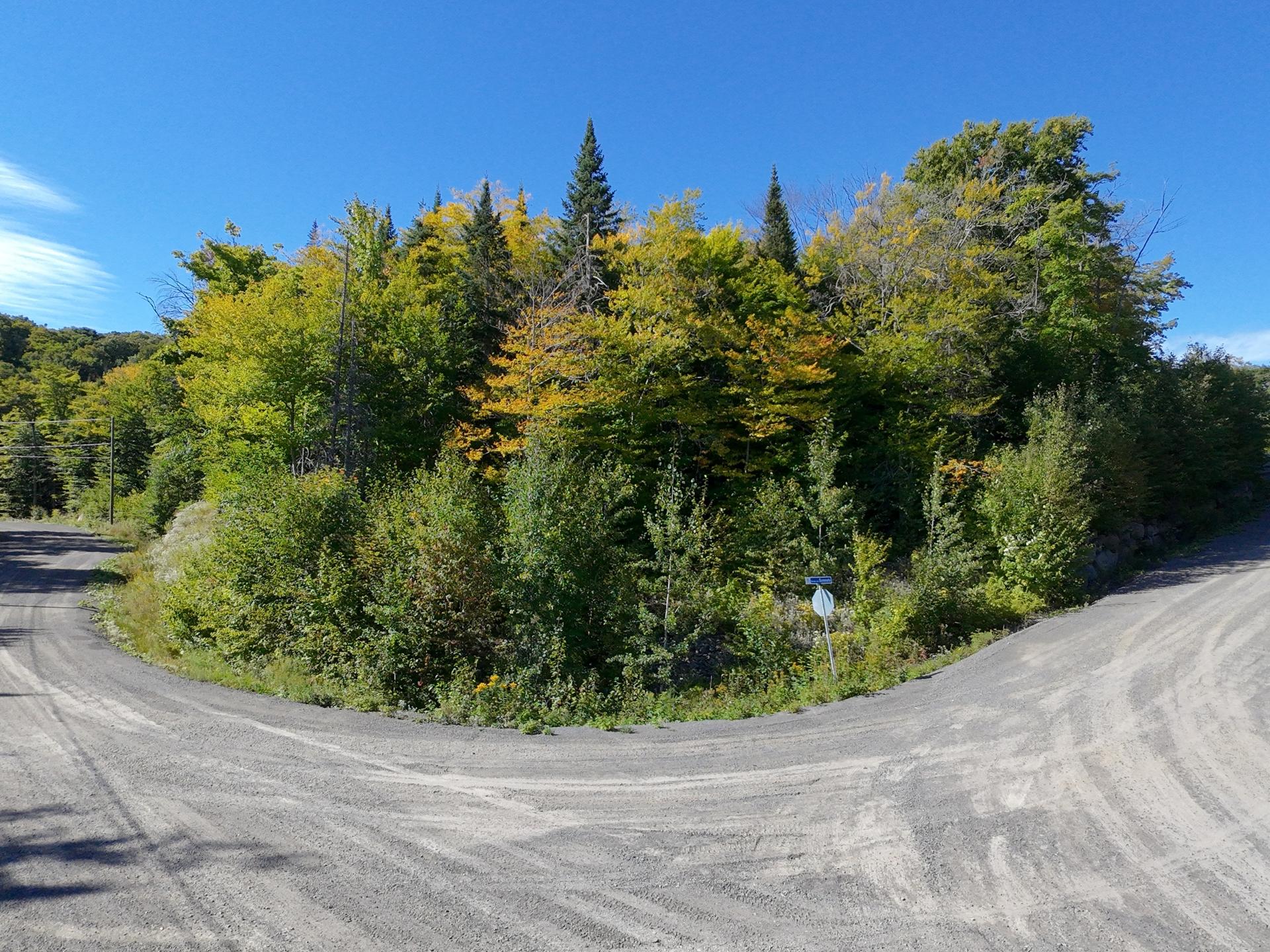 Land/Lot