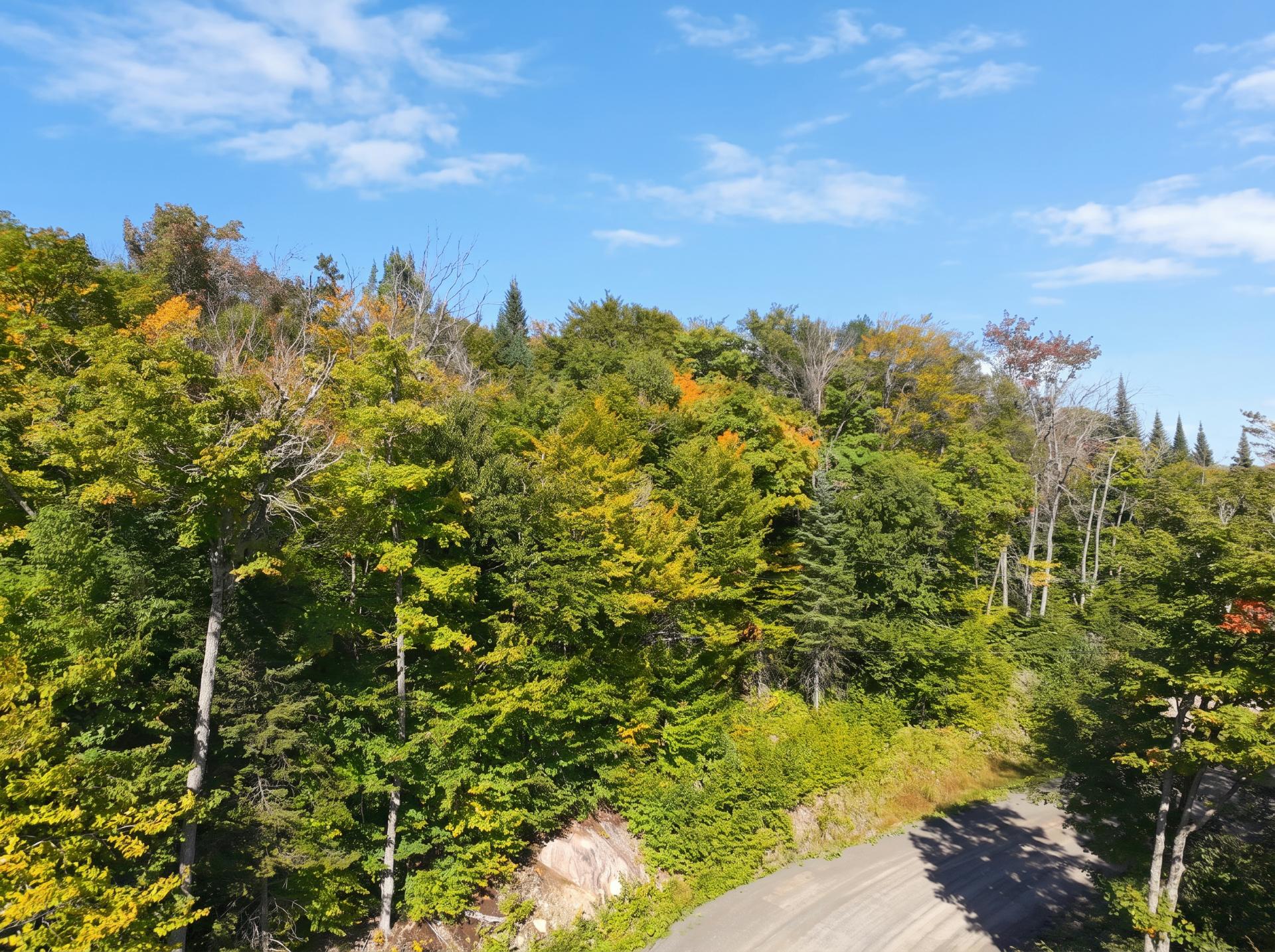 Land/Lot