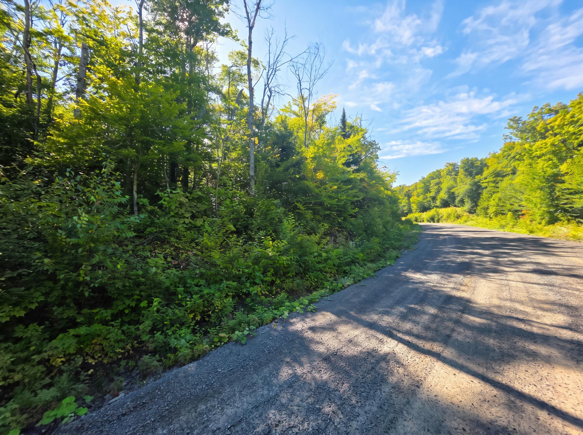 Land/Lot