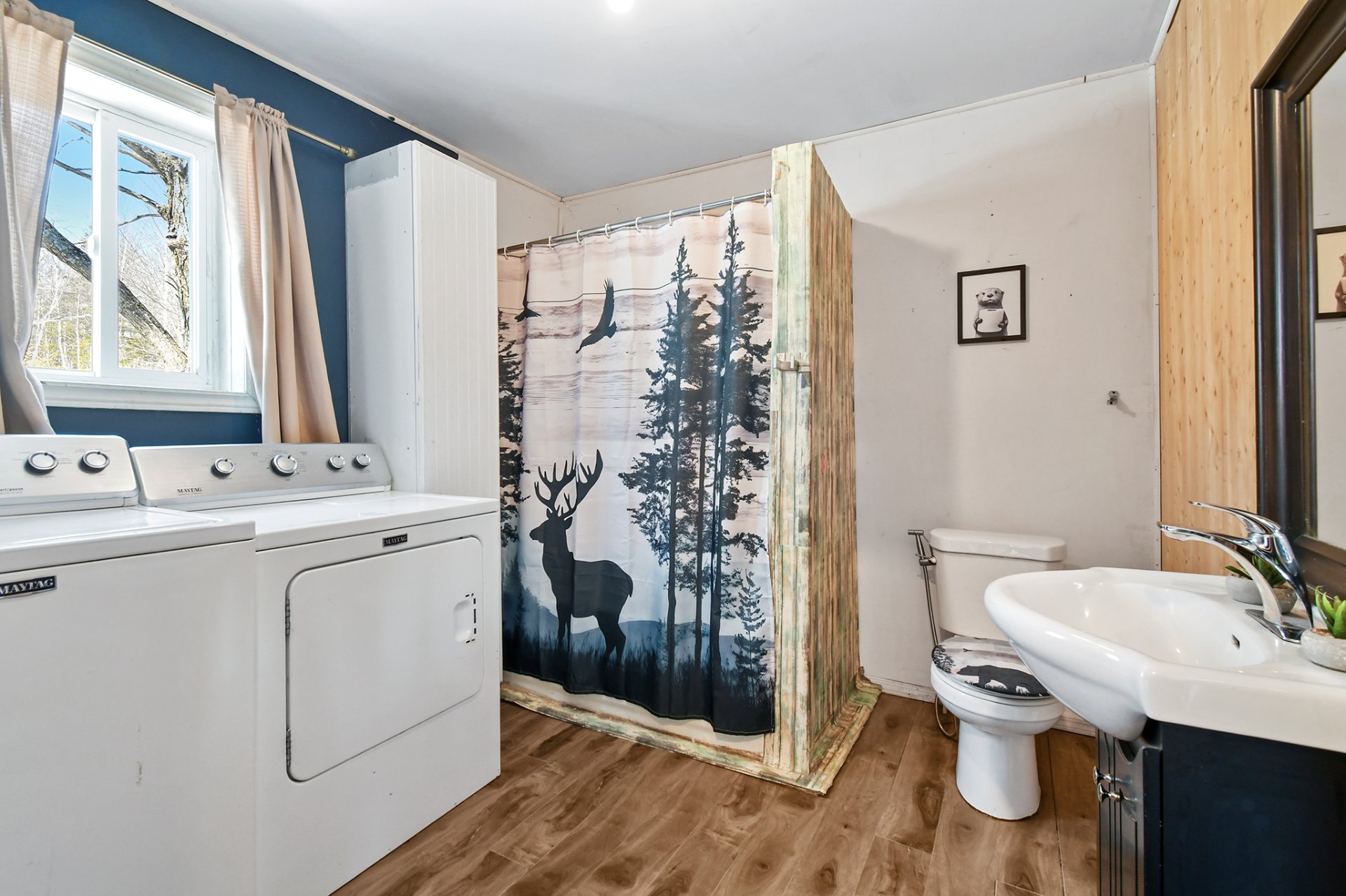 Salle de lavage